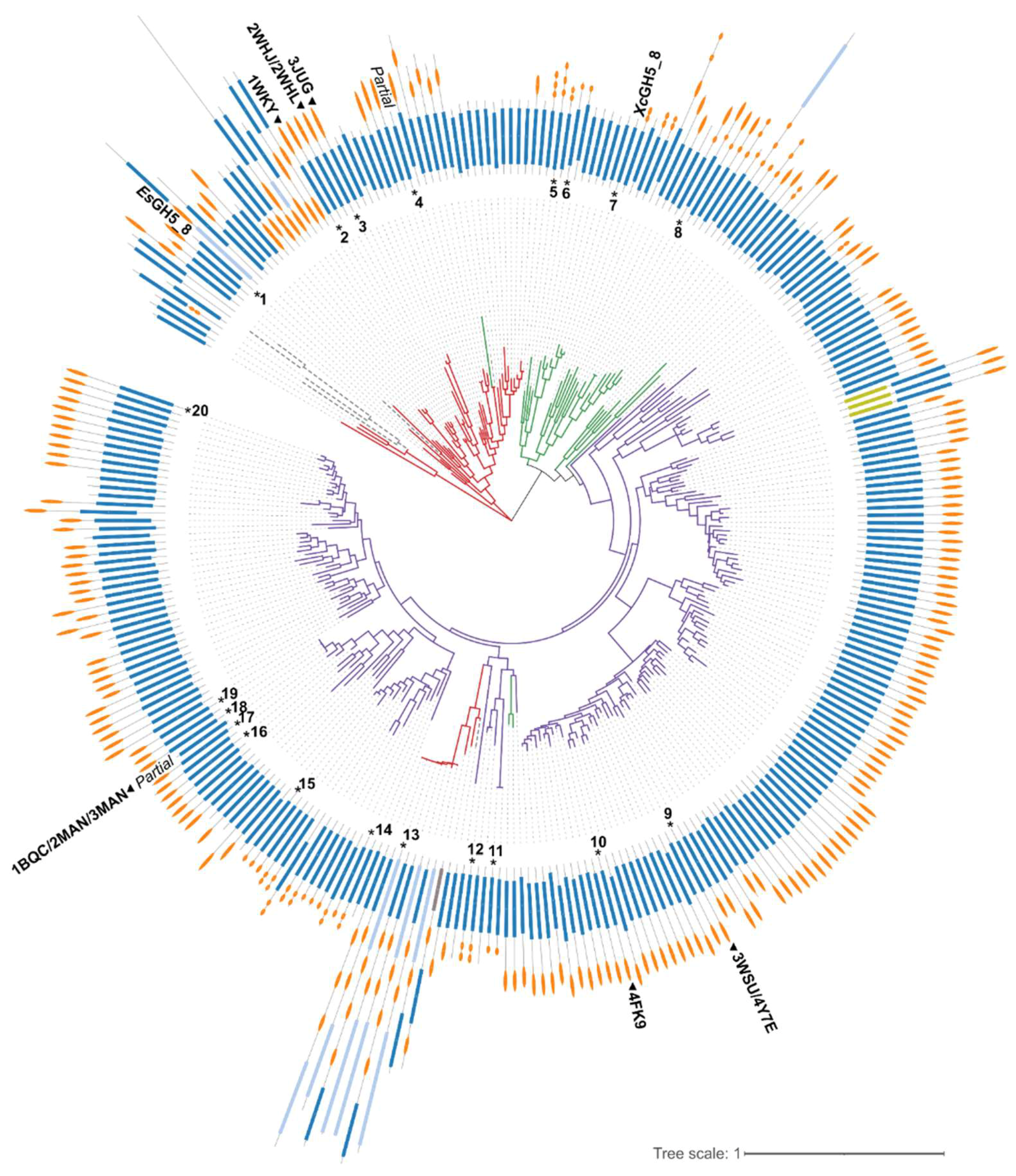 Molecules 27 01915 g001