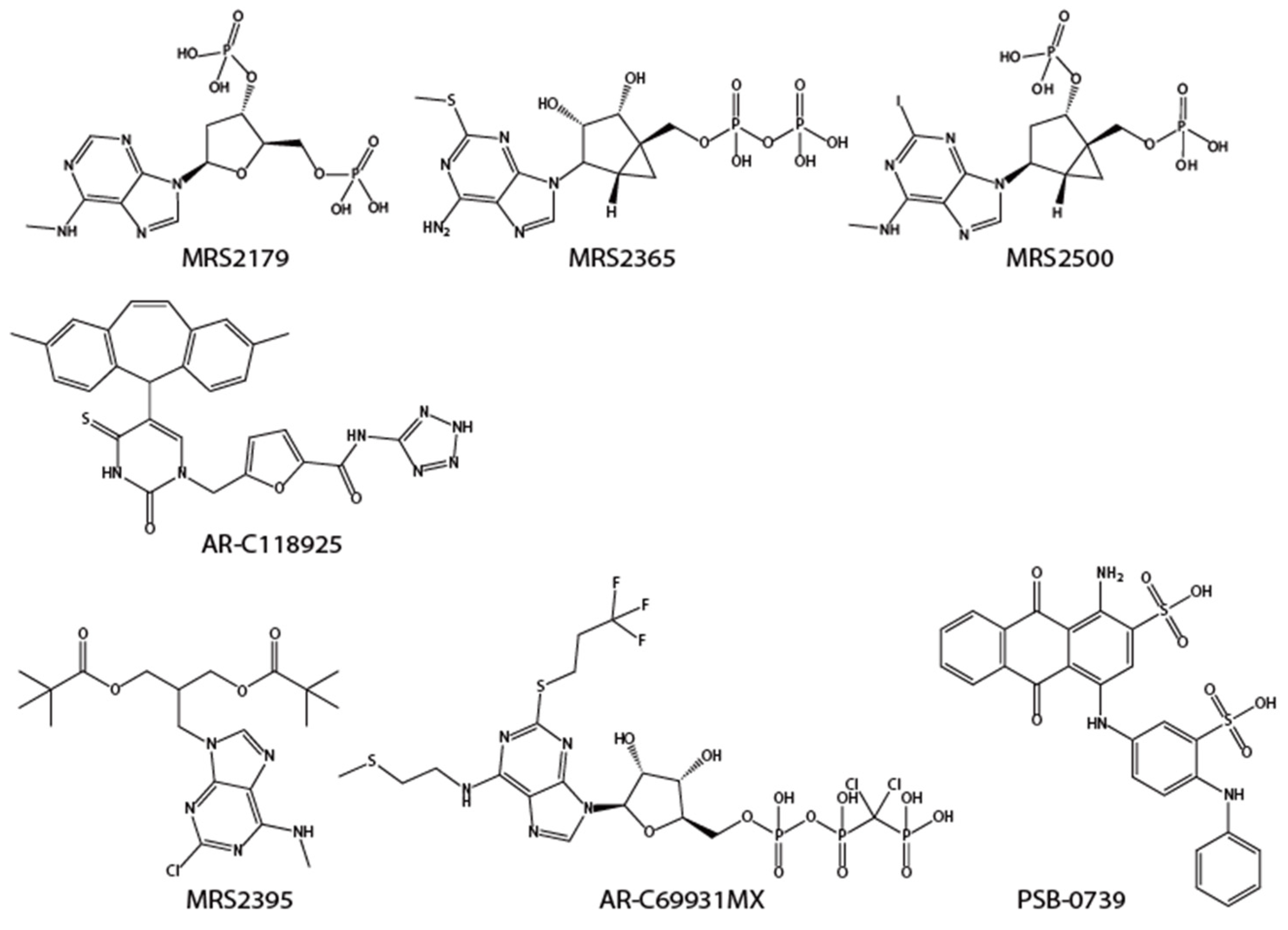 Molecules 27 01919 g004