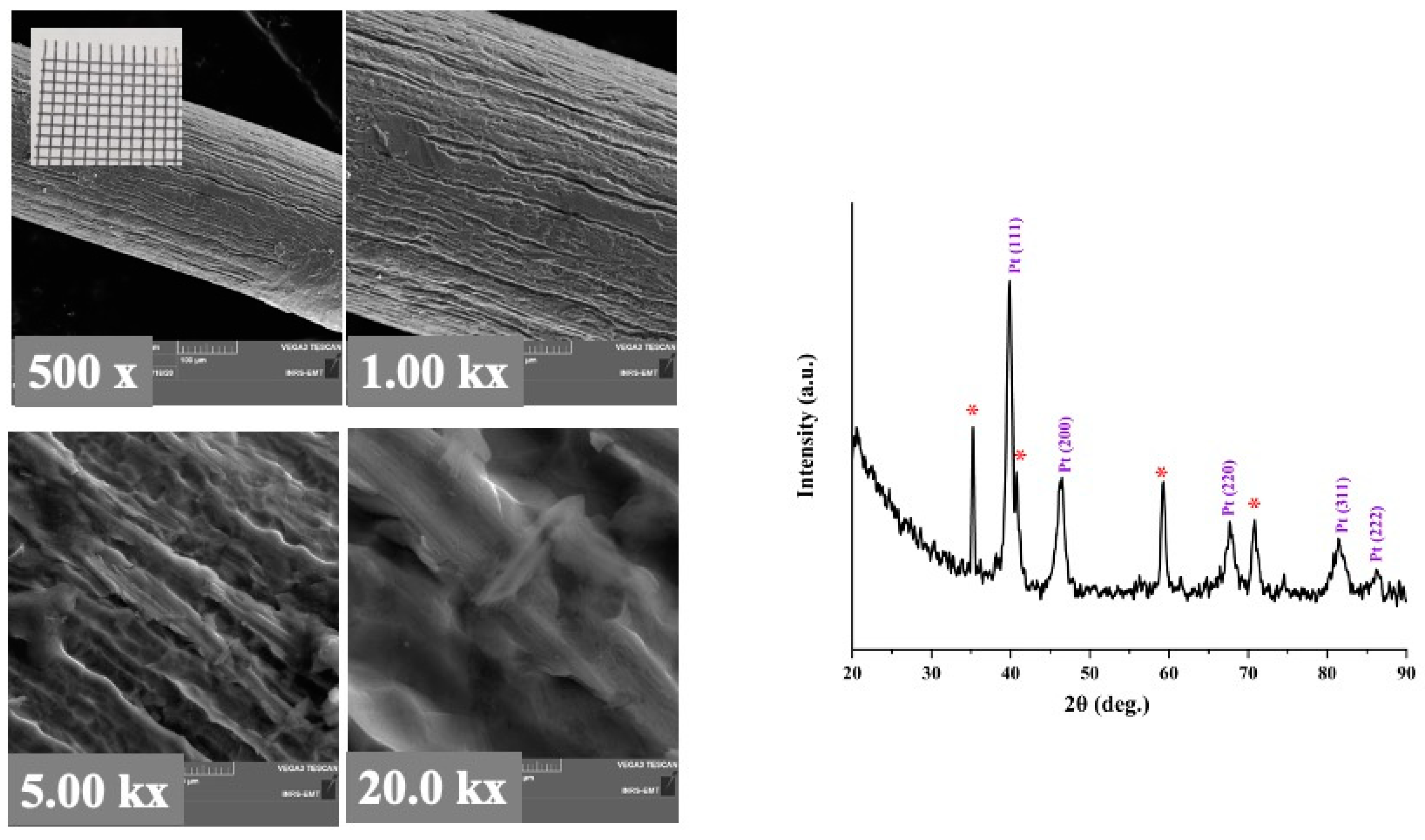 Molecules 27 01921 g004 550