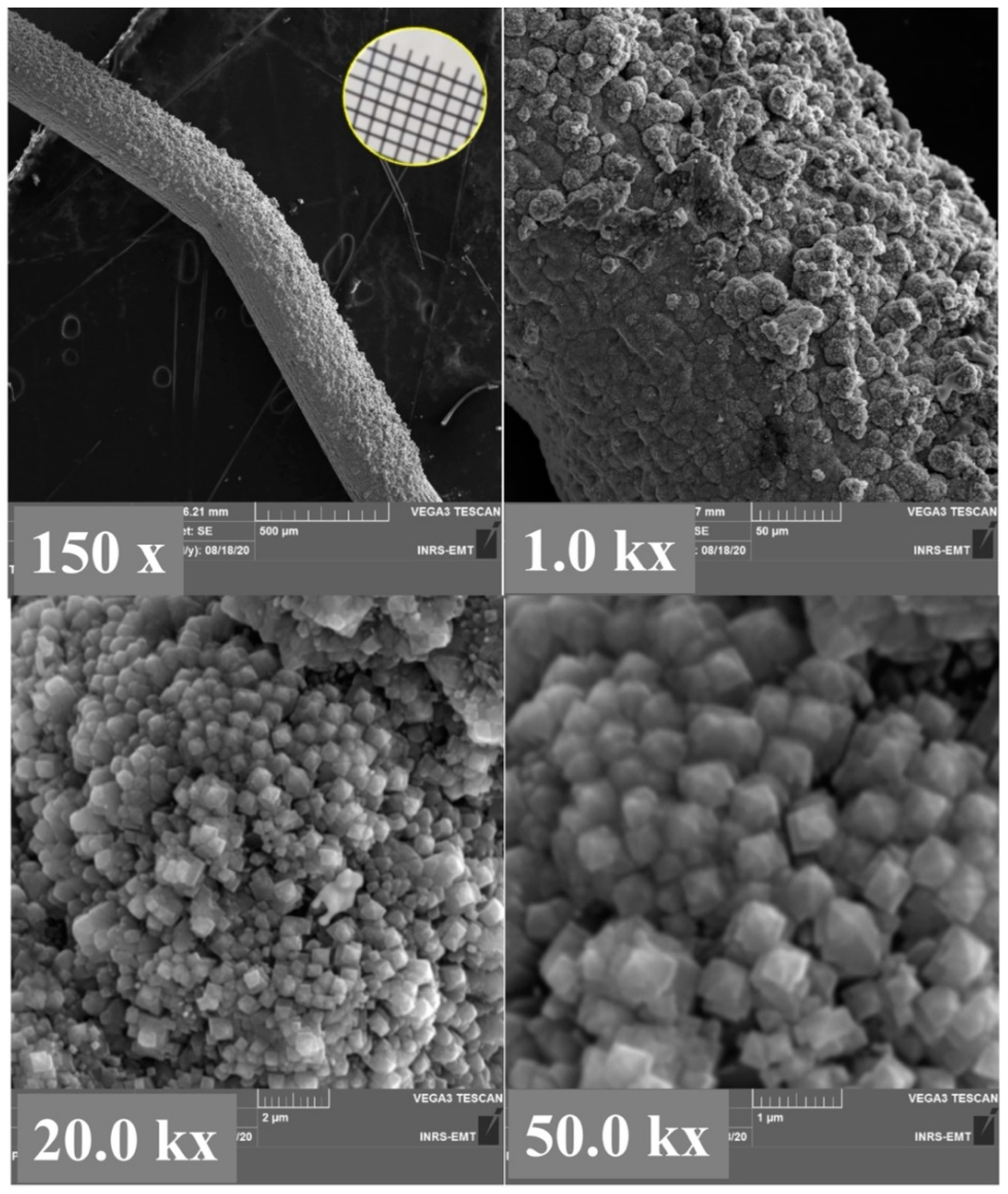 Molecules 27 01921 g005 550