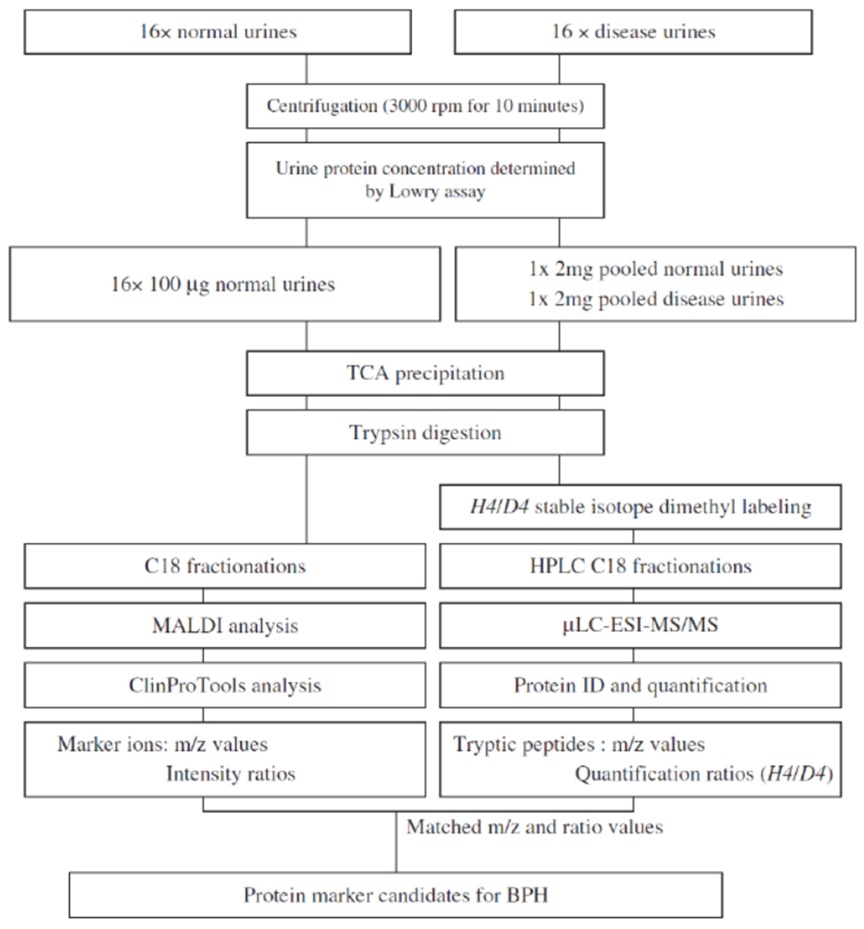 Molecules 27 01925 g001