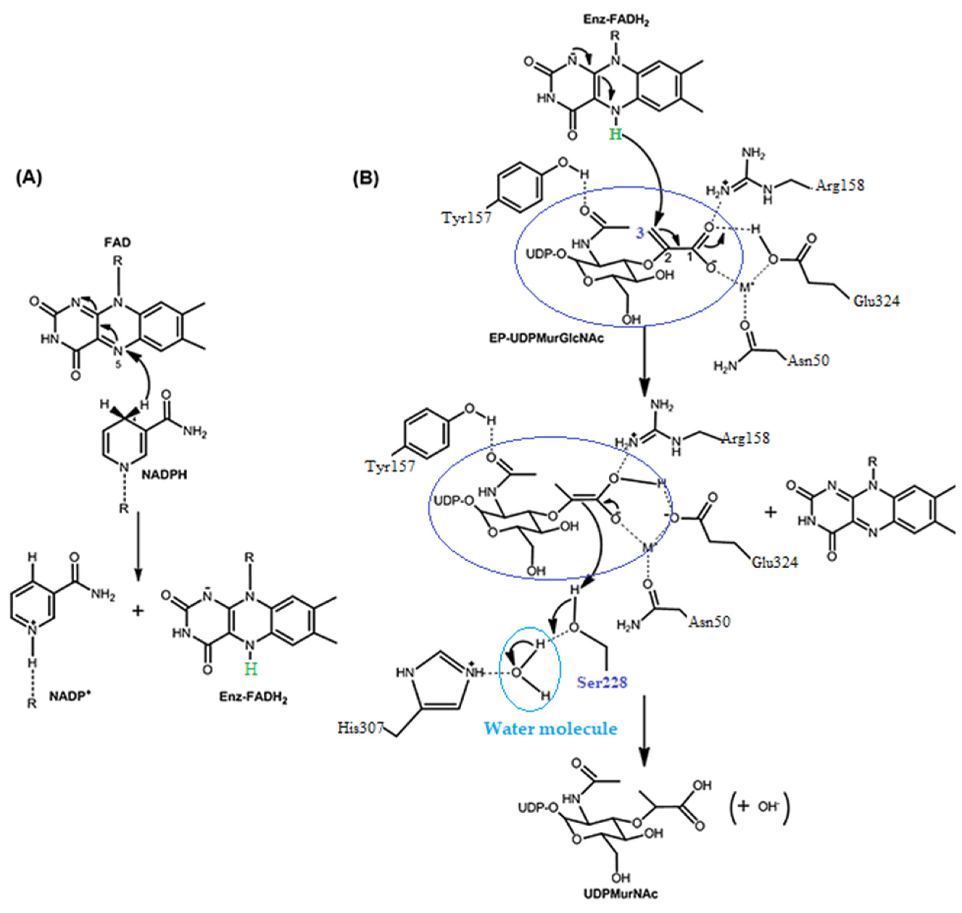 Molecules 27 01930 g004 550