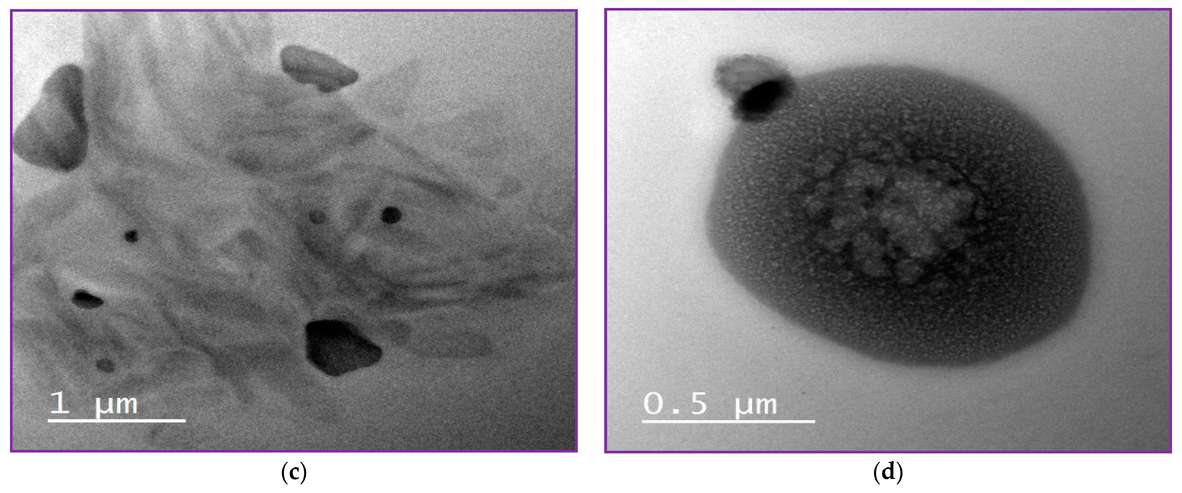 Molecules 27 01939 g003b