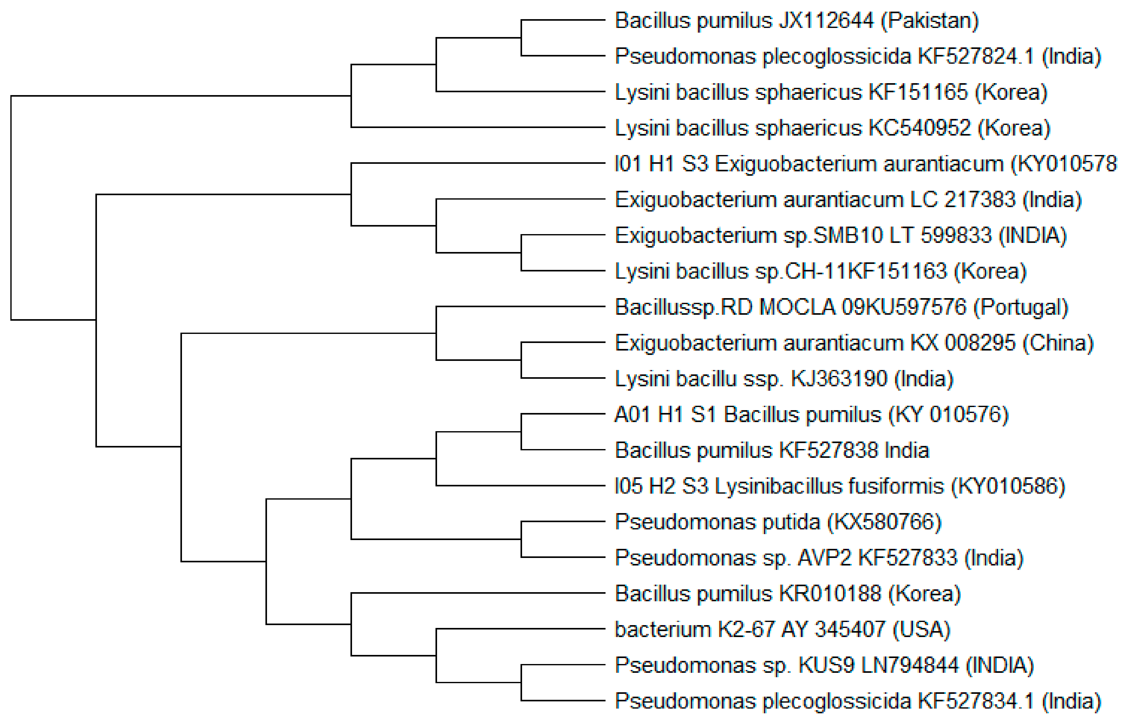 Molecules 27 01945 g001