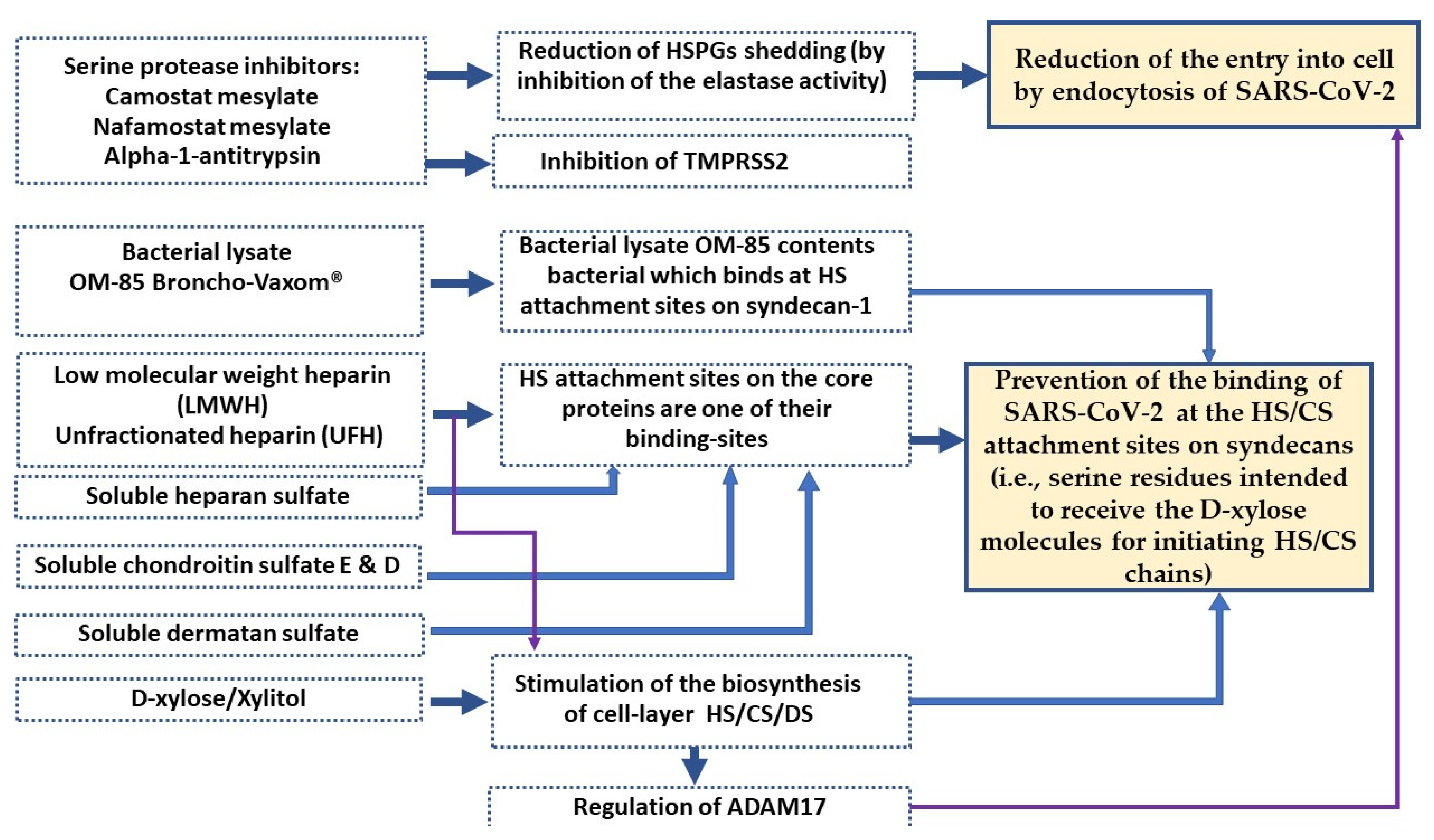 Molecules 27 01947 g002