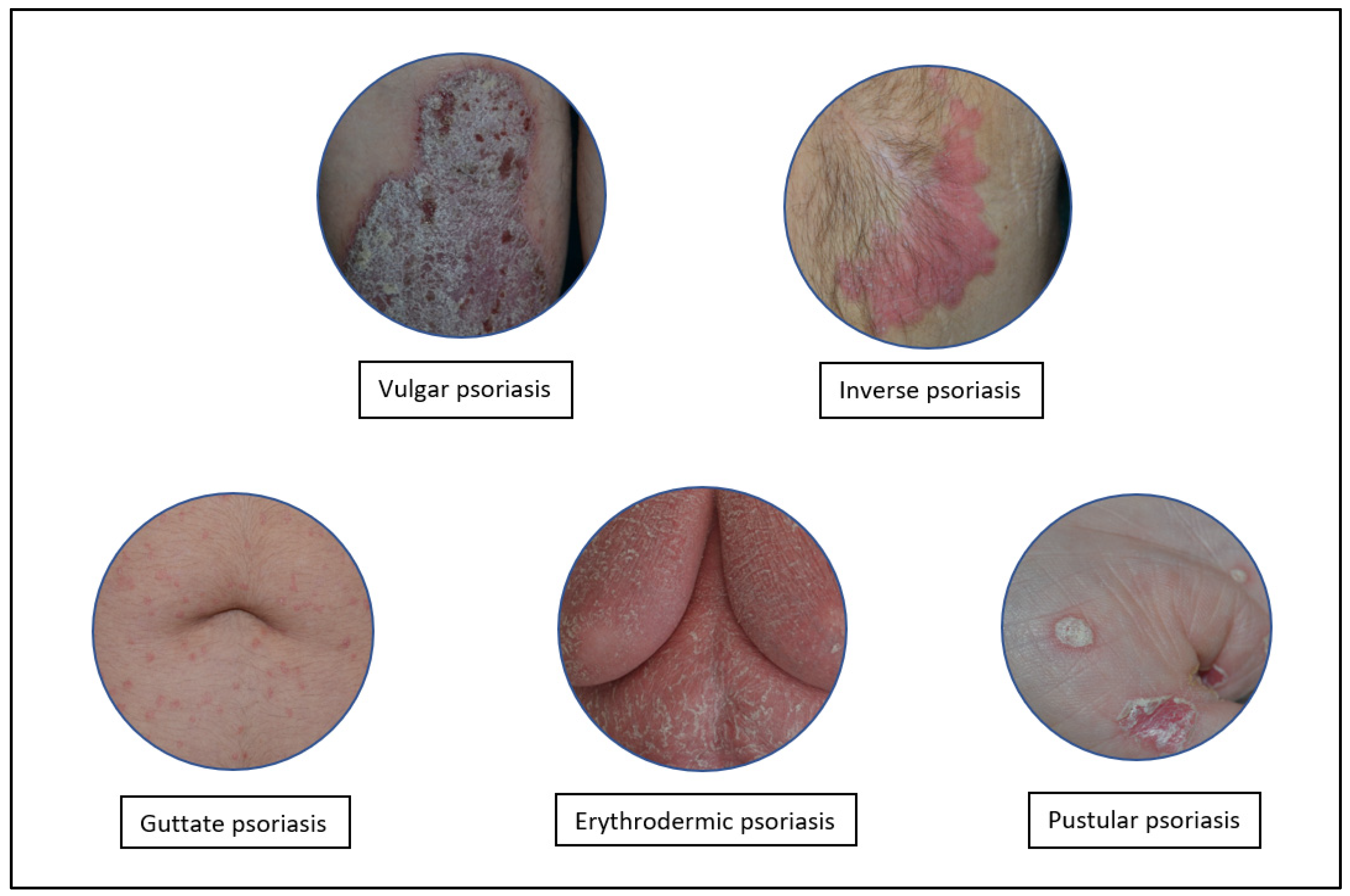 Molecules 27 01953 g001 Molecules 27 01953 g001