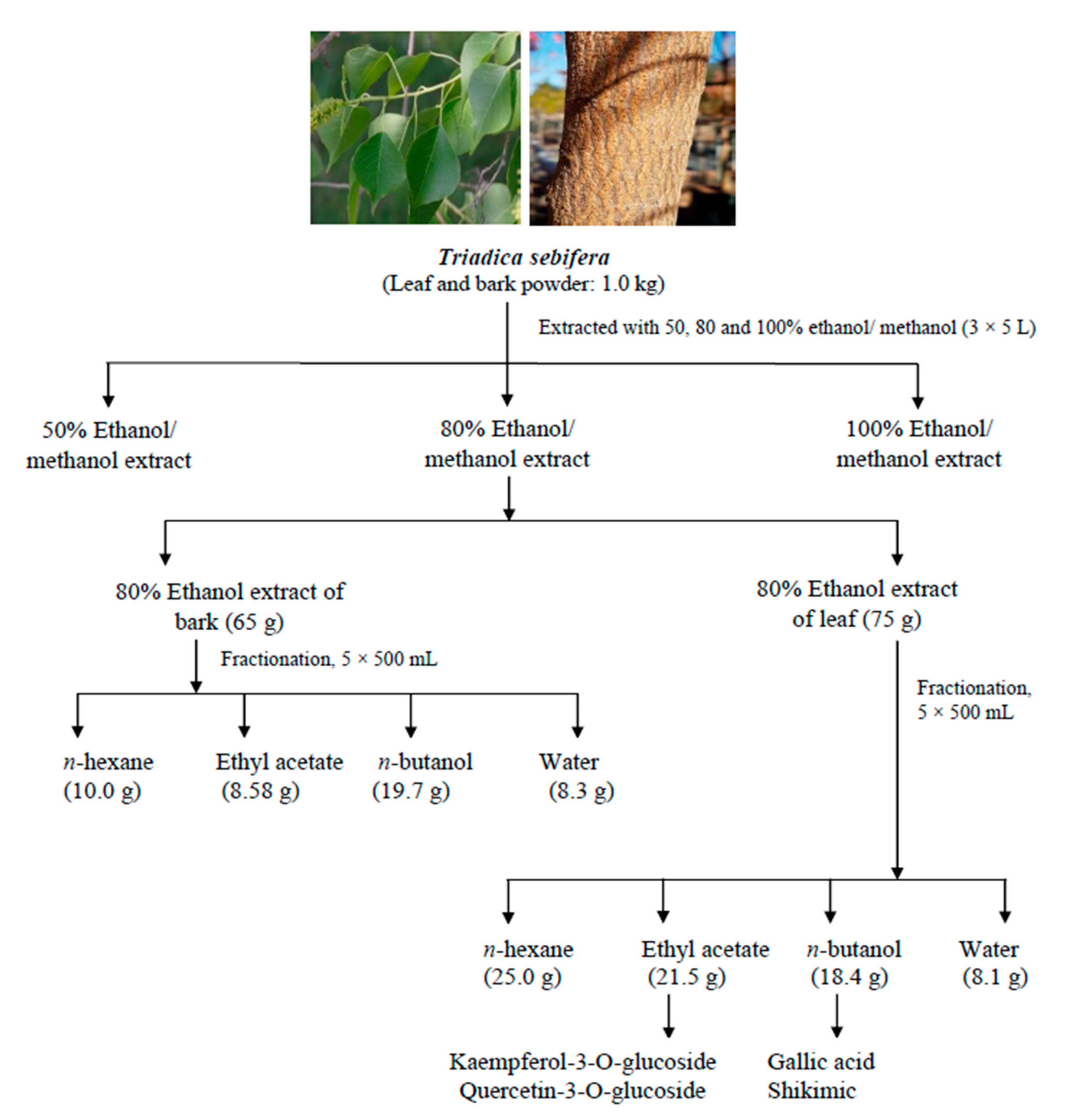 Molecules 27 01967 g002 550