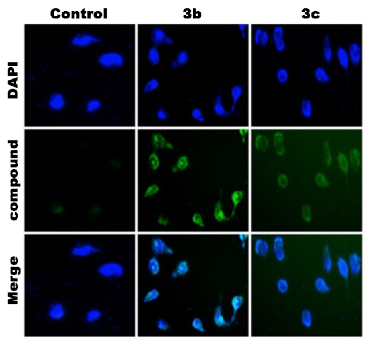 Molecules 27 01970 g003