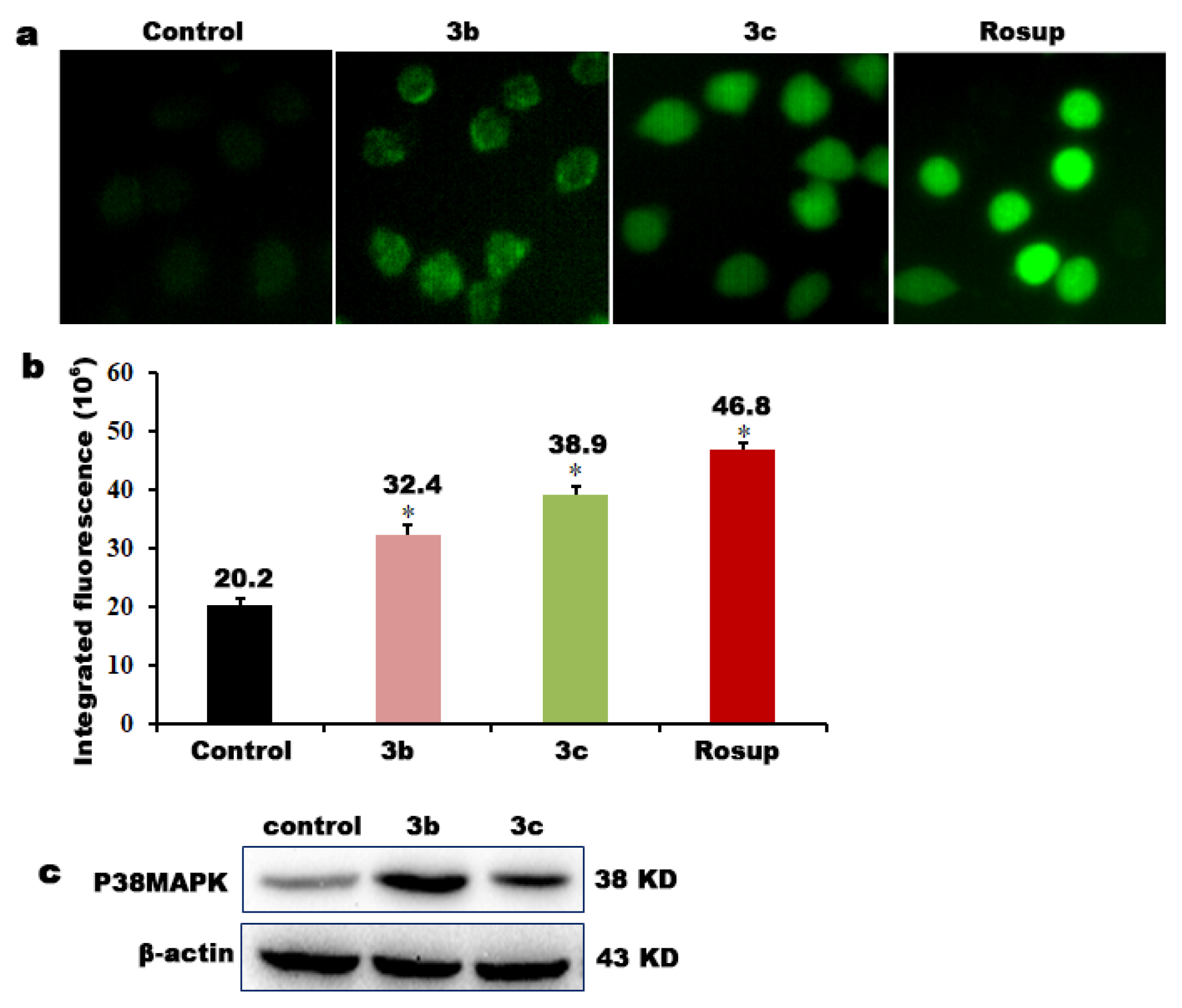Molecules 27 01970 g006