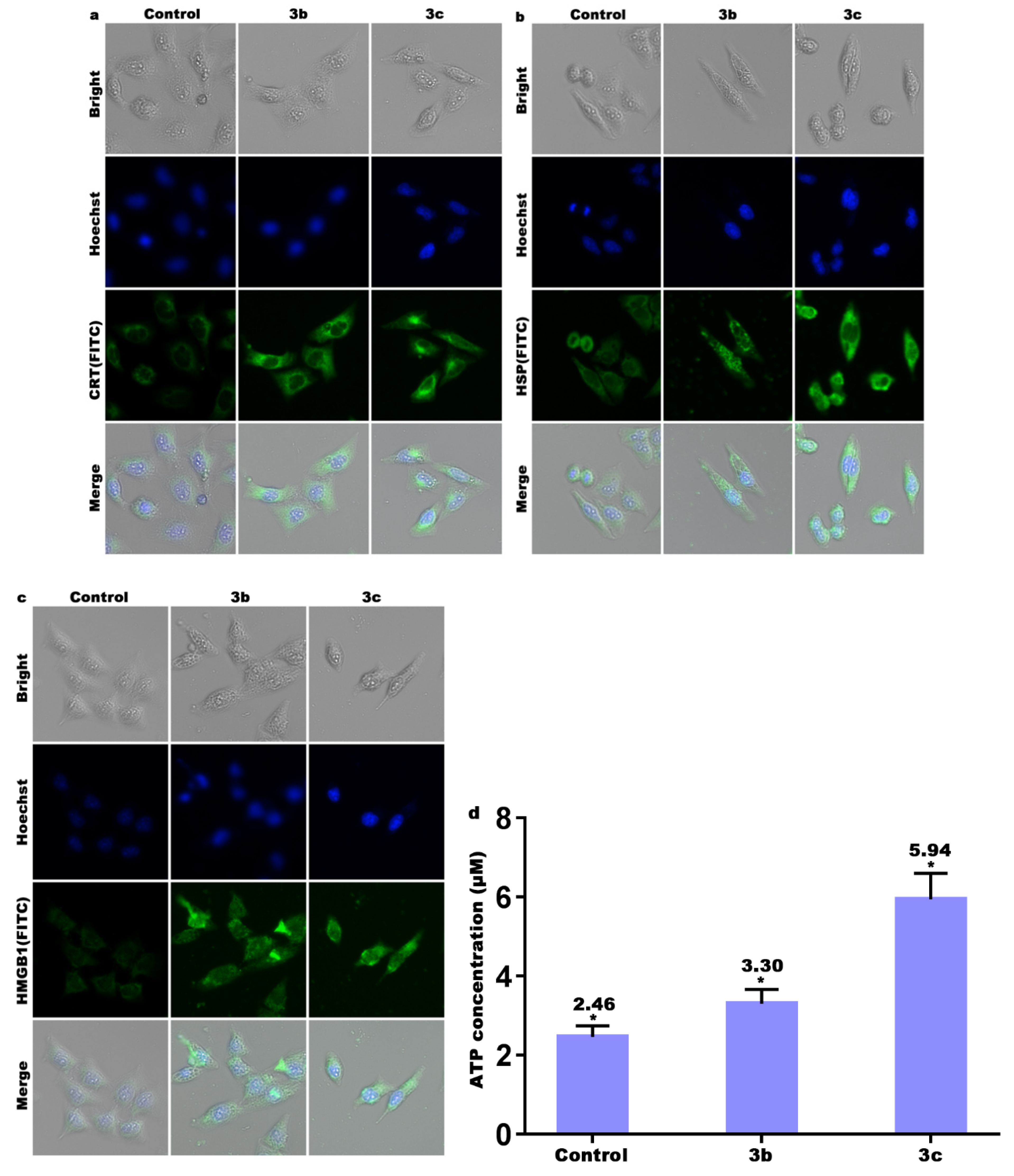 Molecules 27 01970 g009