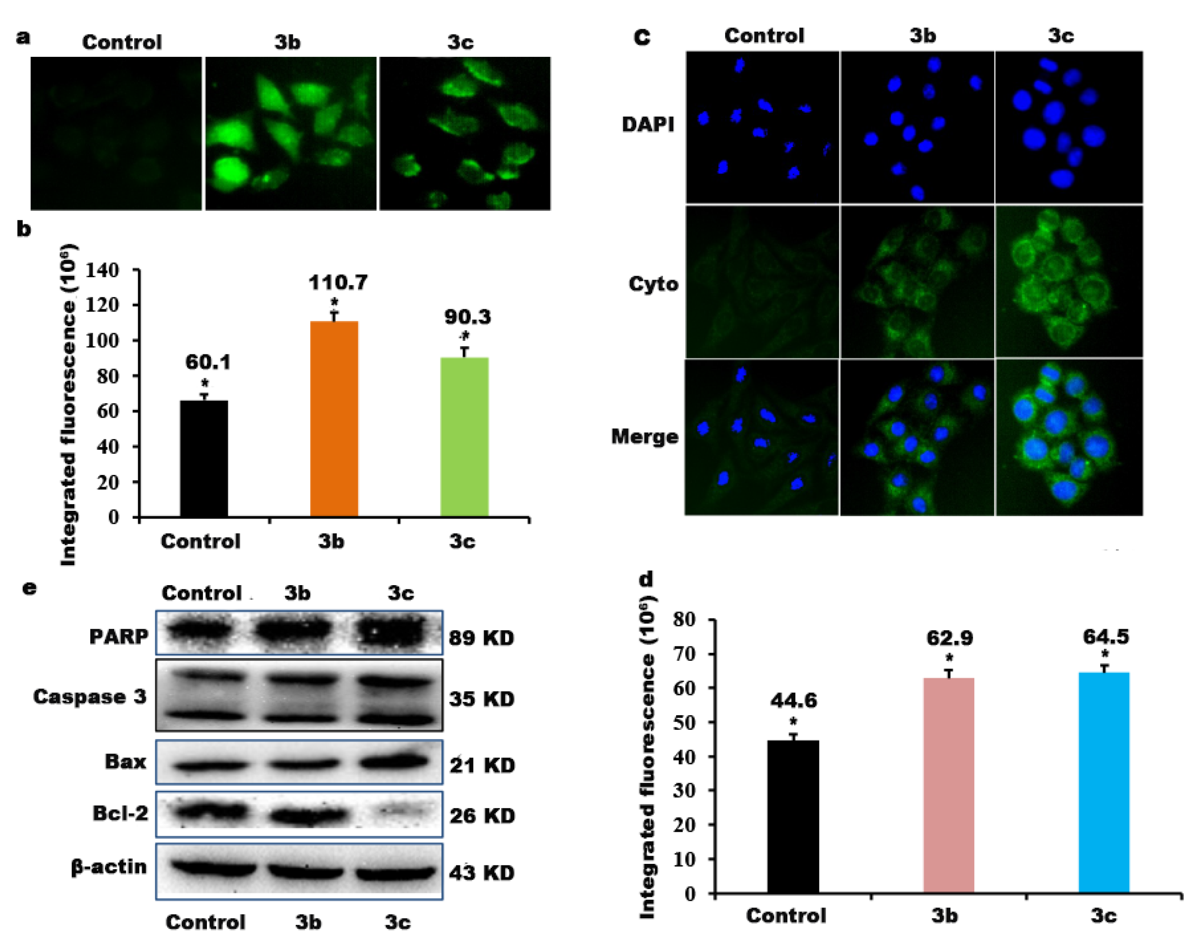 Molecules 27 01970 g010