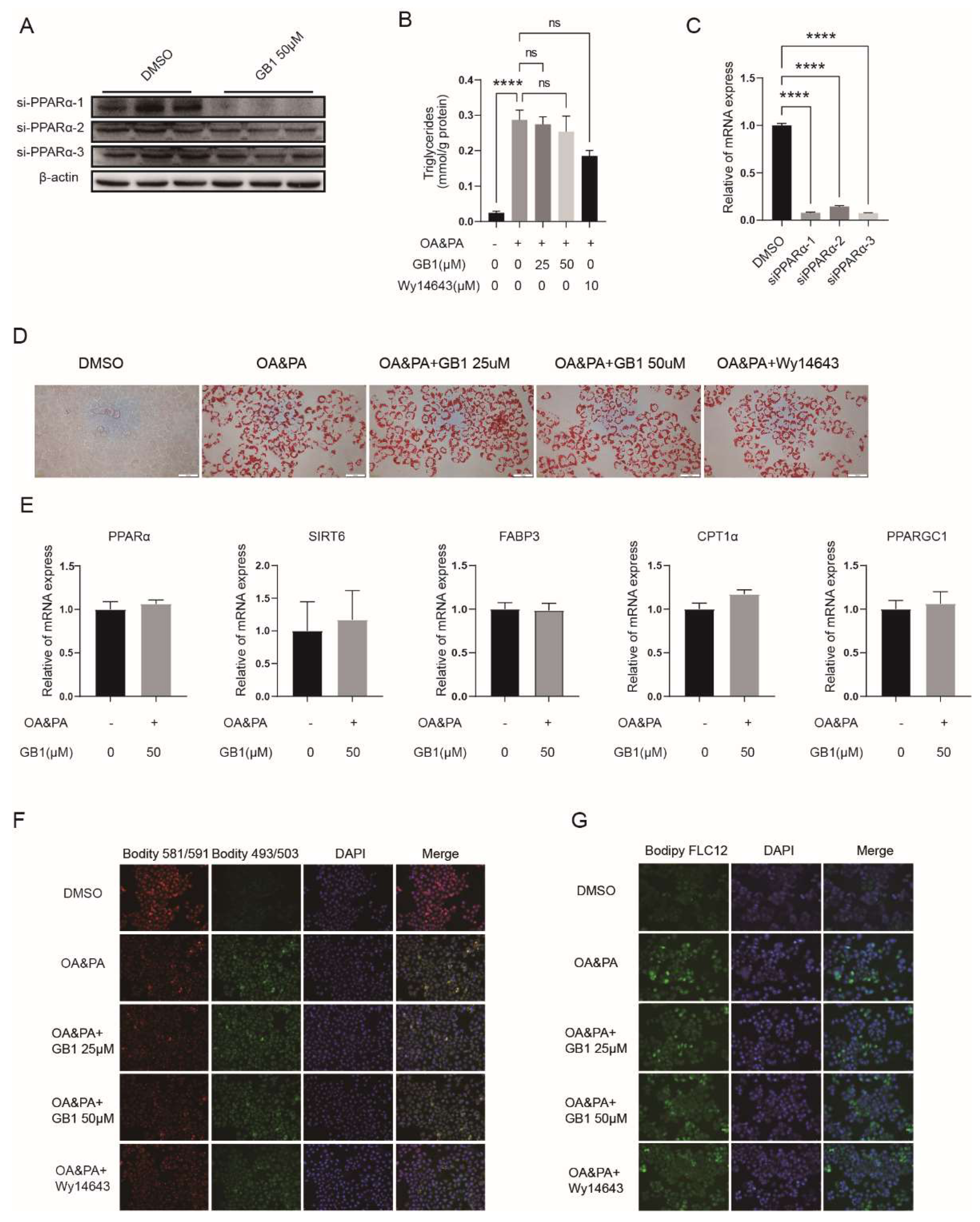 Molecules 27 01978 g005