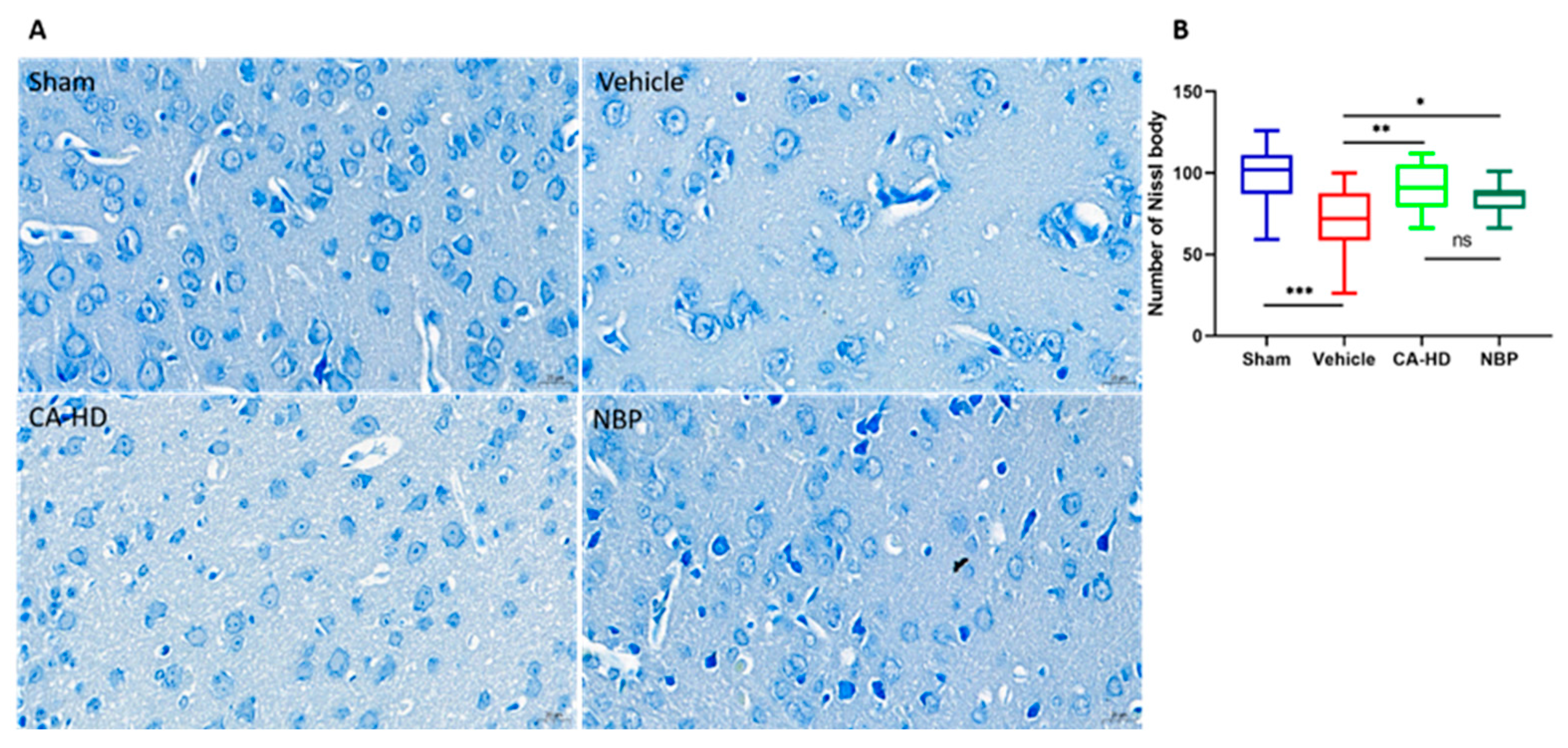 Molecules 27 01984 g002 550