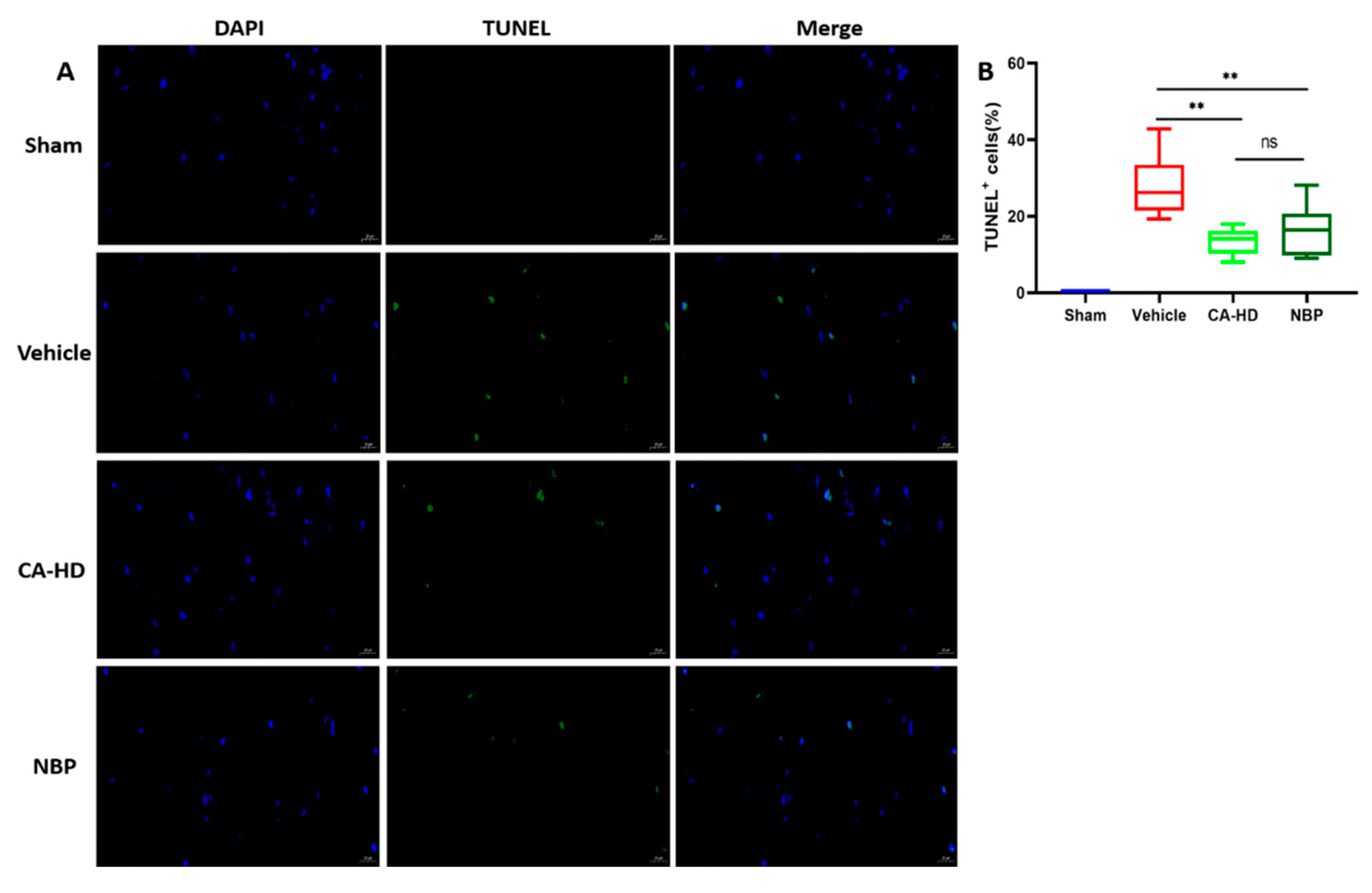 Molecules 27 01984 g003 550
