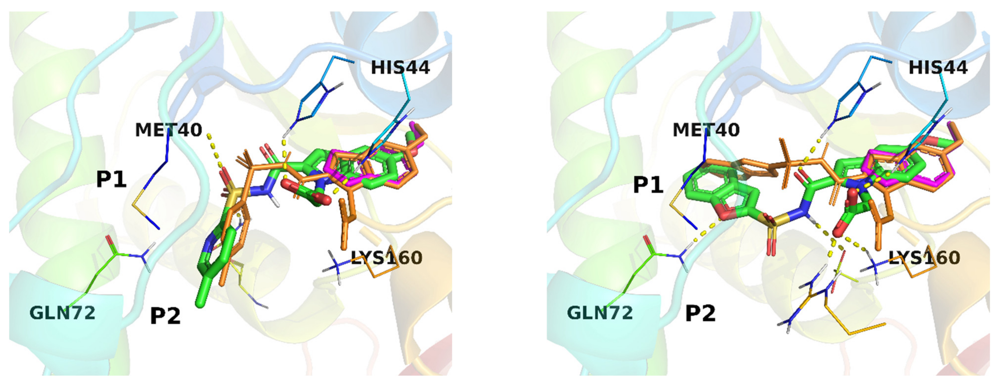 Molecules 27 01985 g004