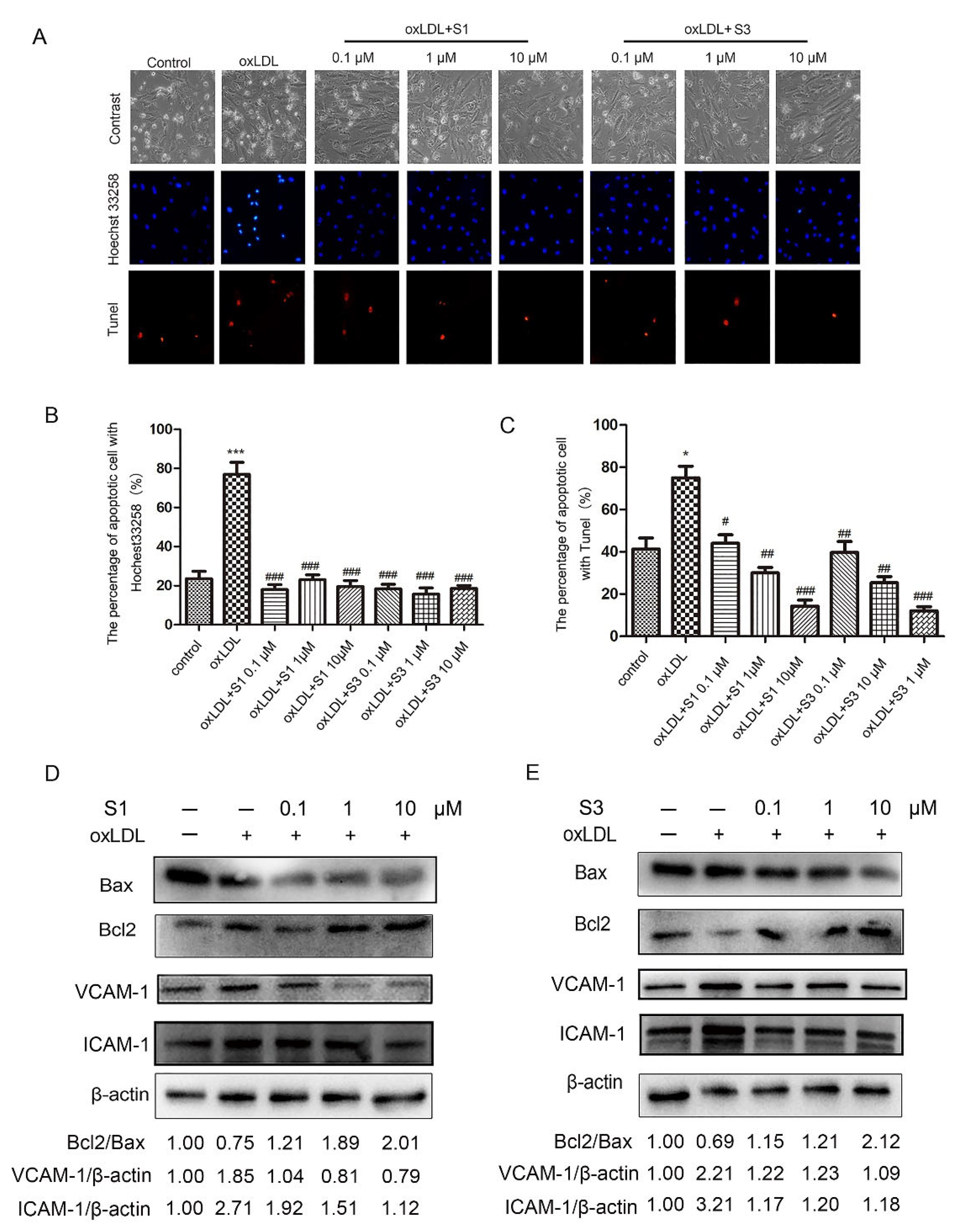 Molecules 27 01990 g002