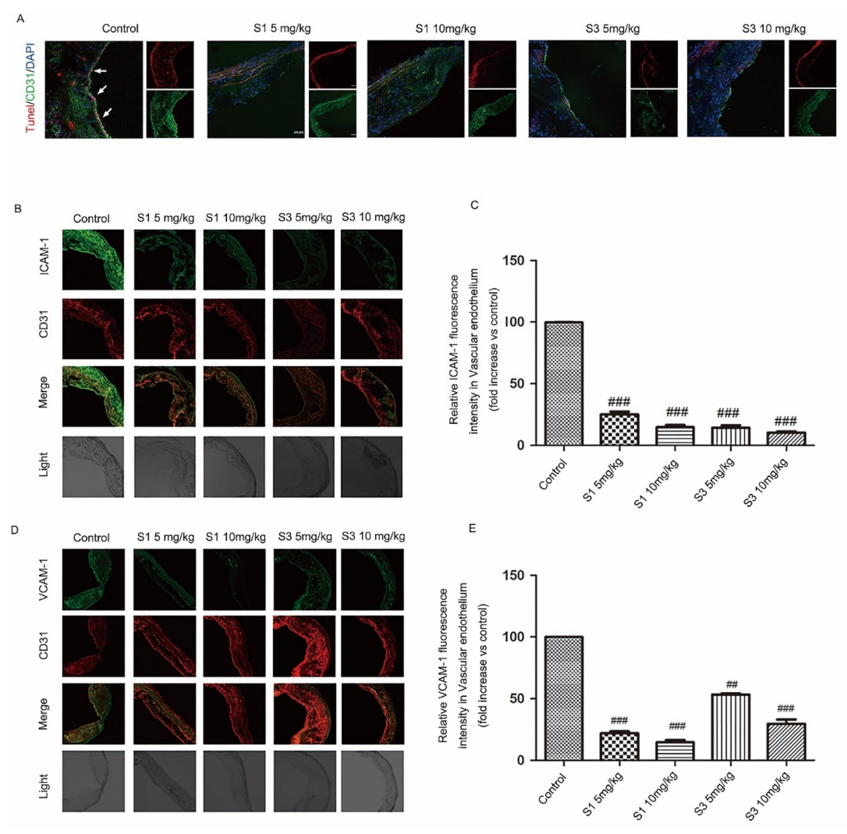 Molecules 27 01990 g003