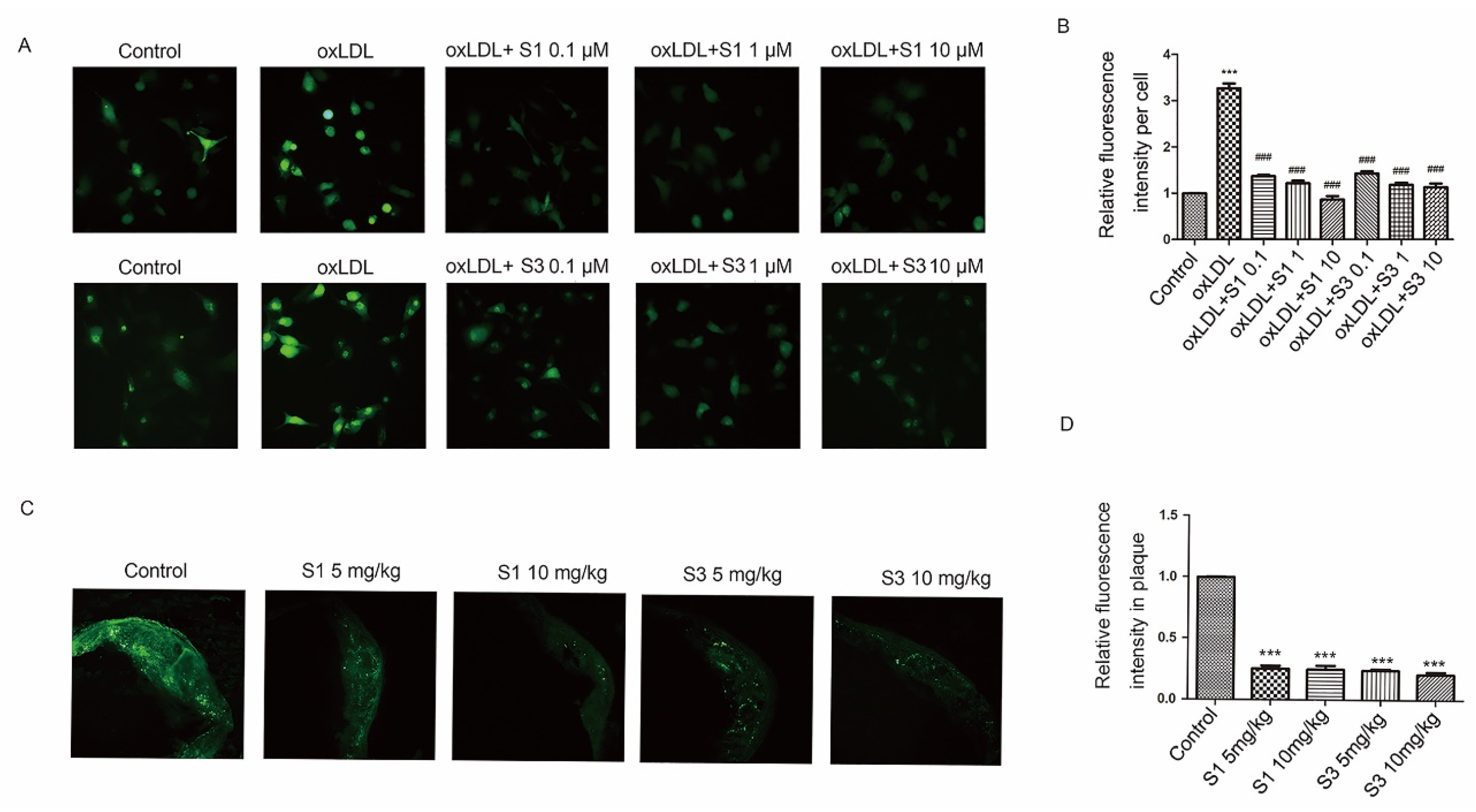 Molecules 27 01990 g005