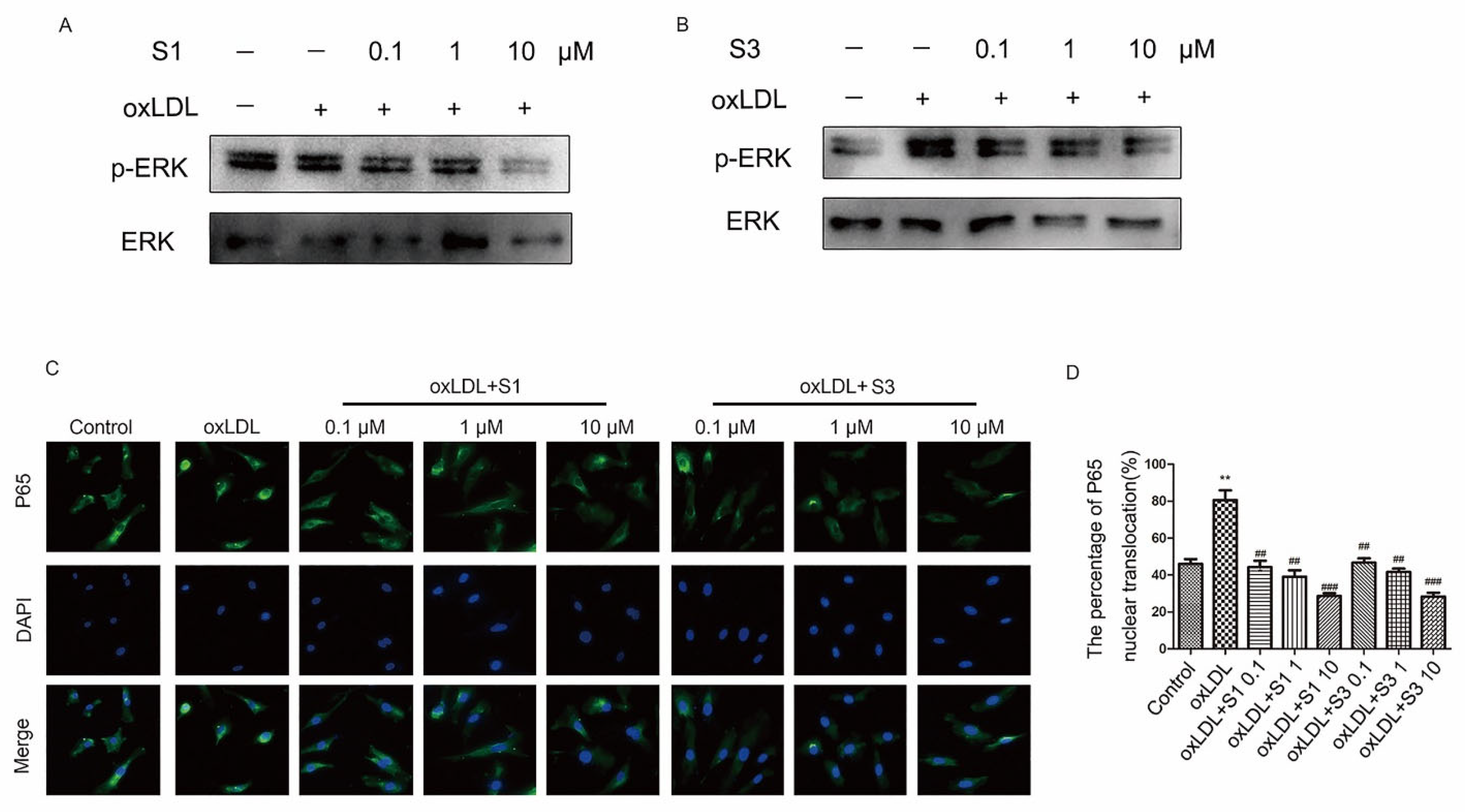 Molecules 27 01990 g006