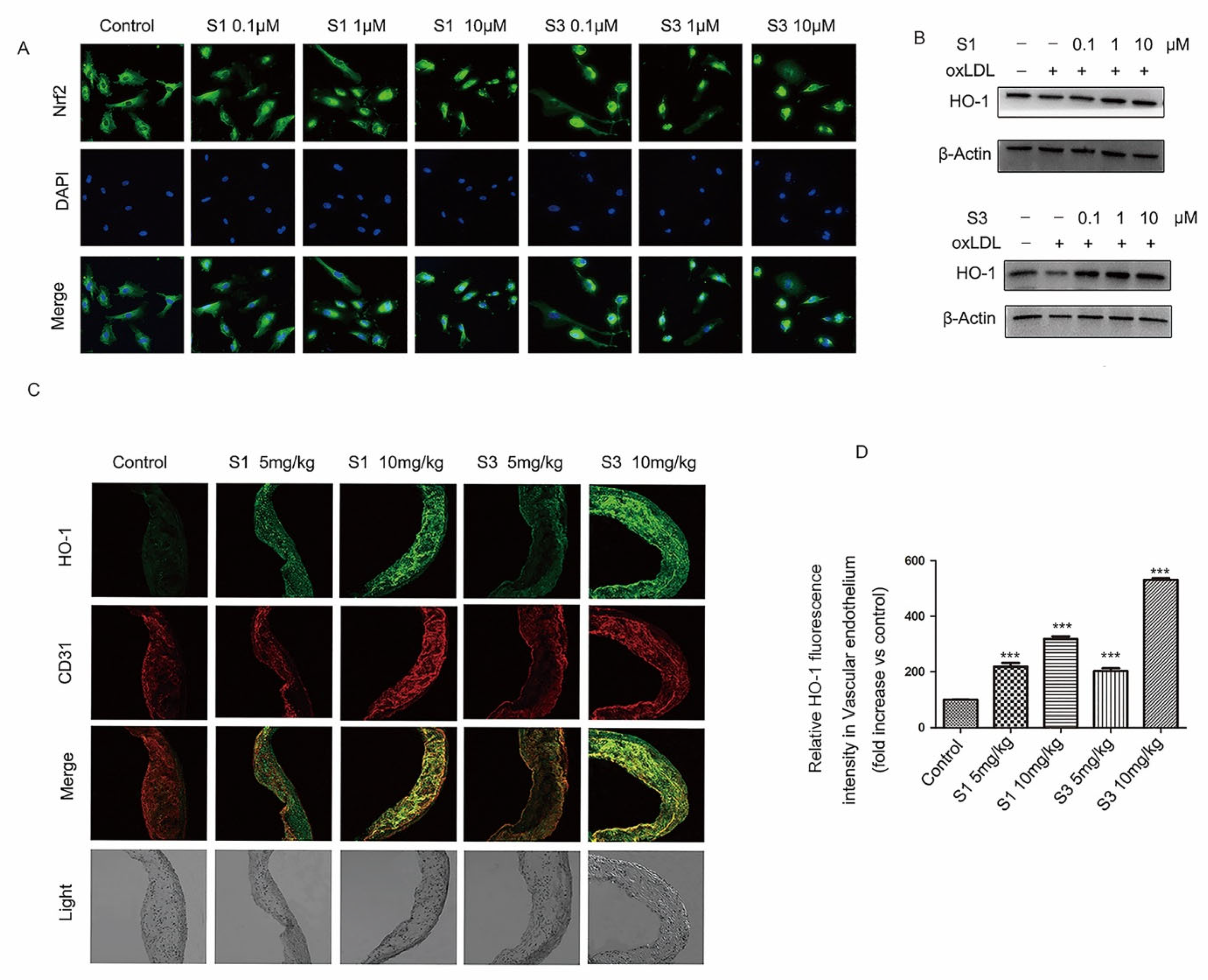 Molecules 27 01990 g007