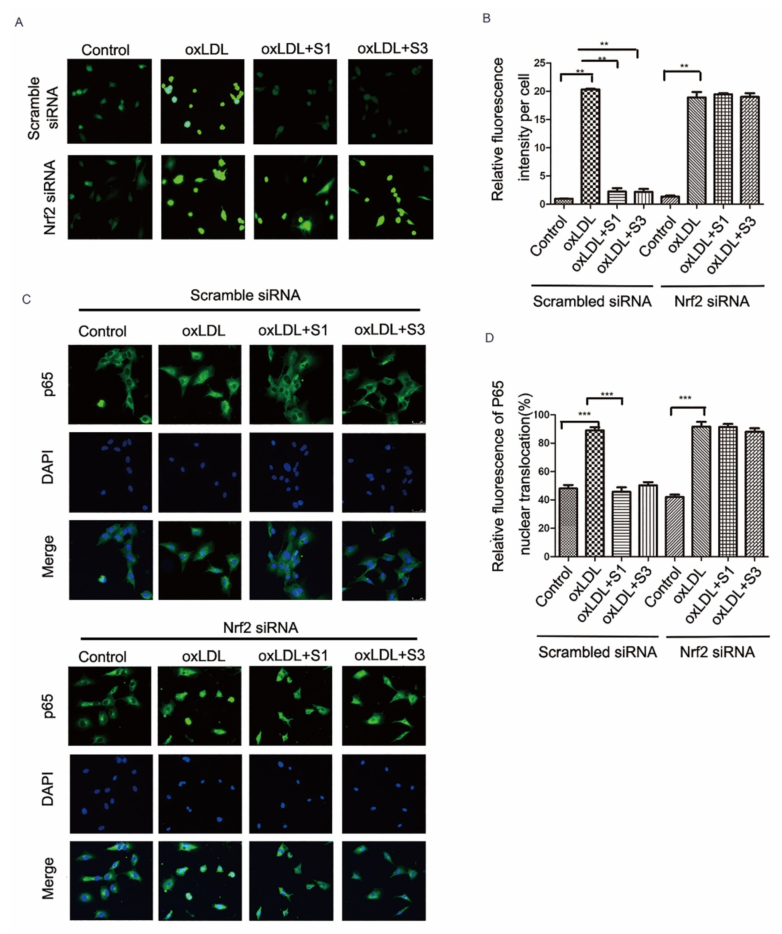 Molecules 27 01990 g009