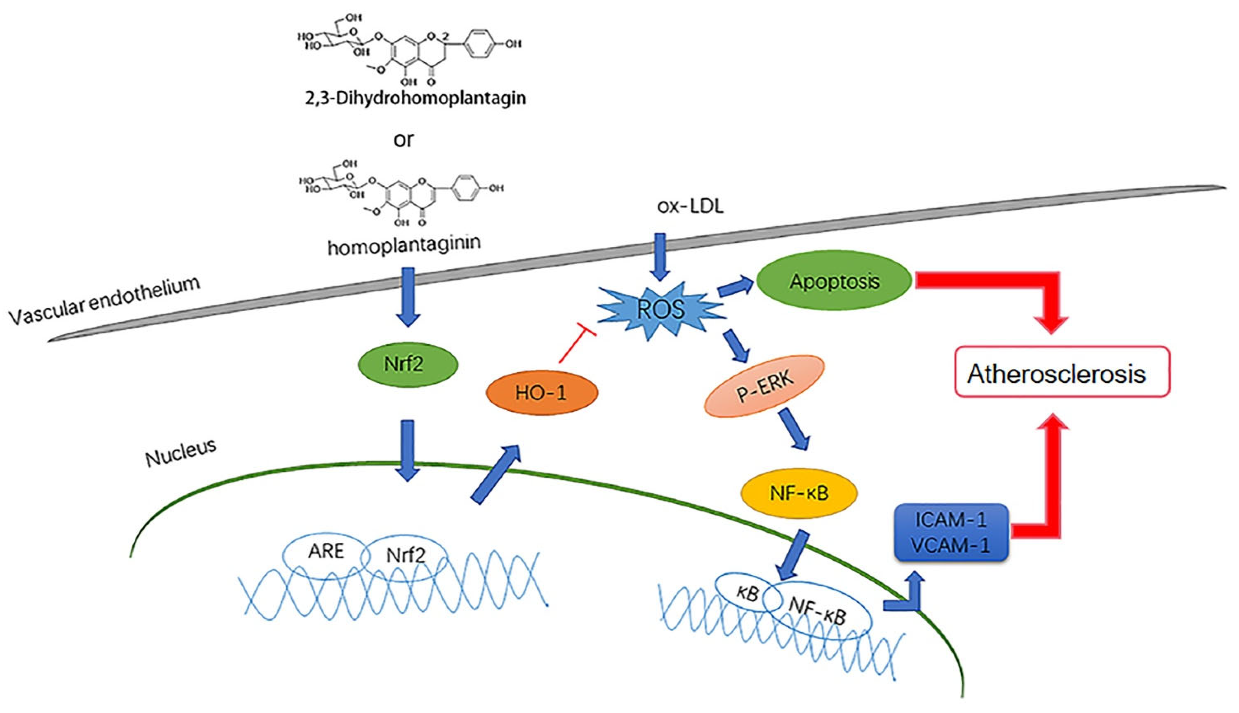 Molecules 27 01990 g010