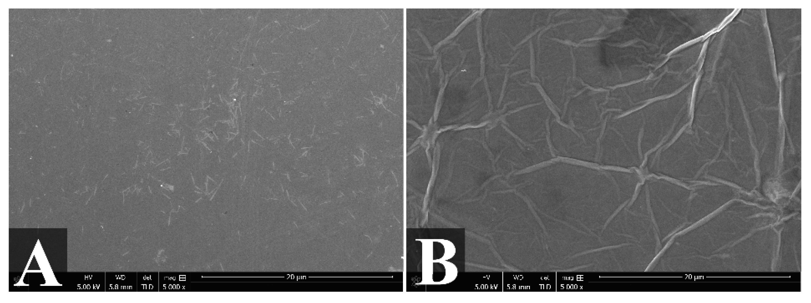 Molecules 27 01992 g003 550