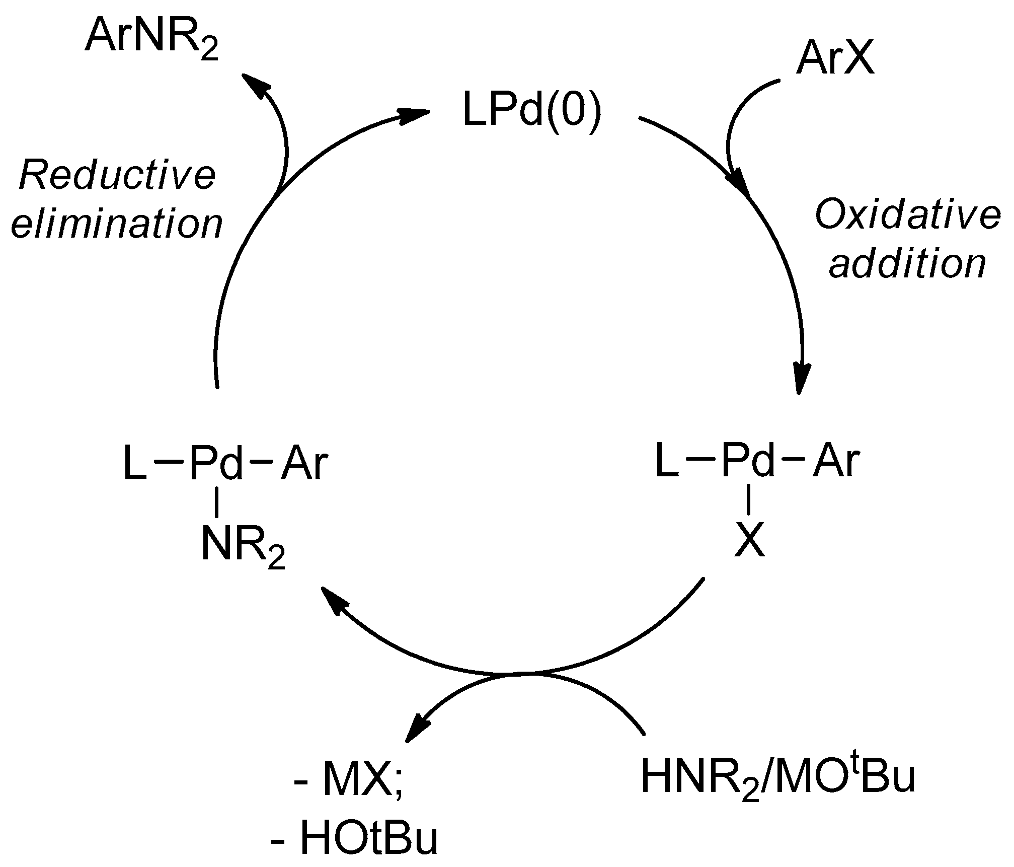 Molecules 27 01999 g002