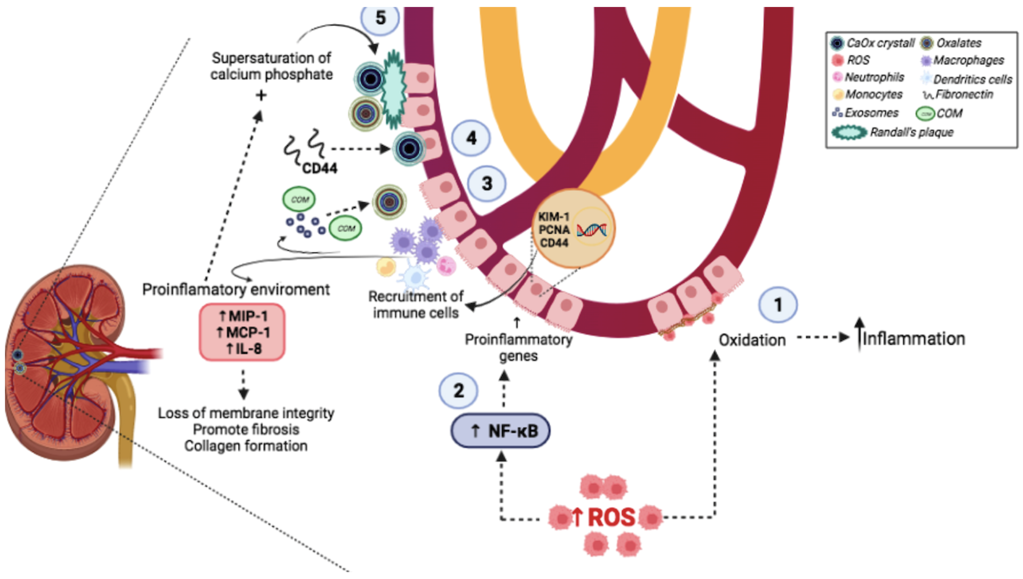 Molecules 27 02008 g001