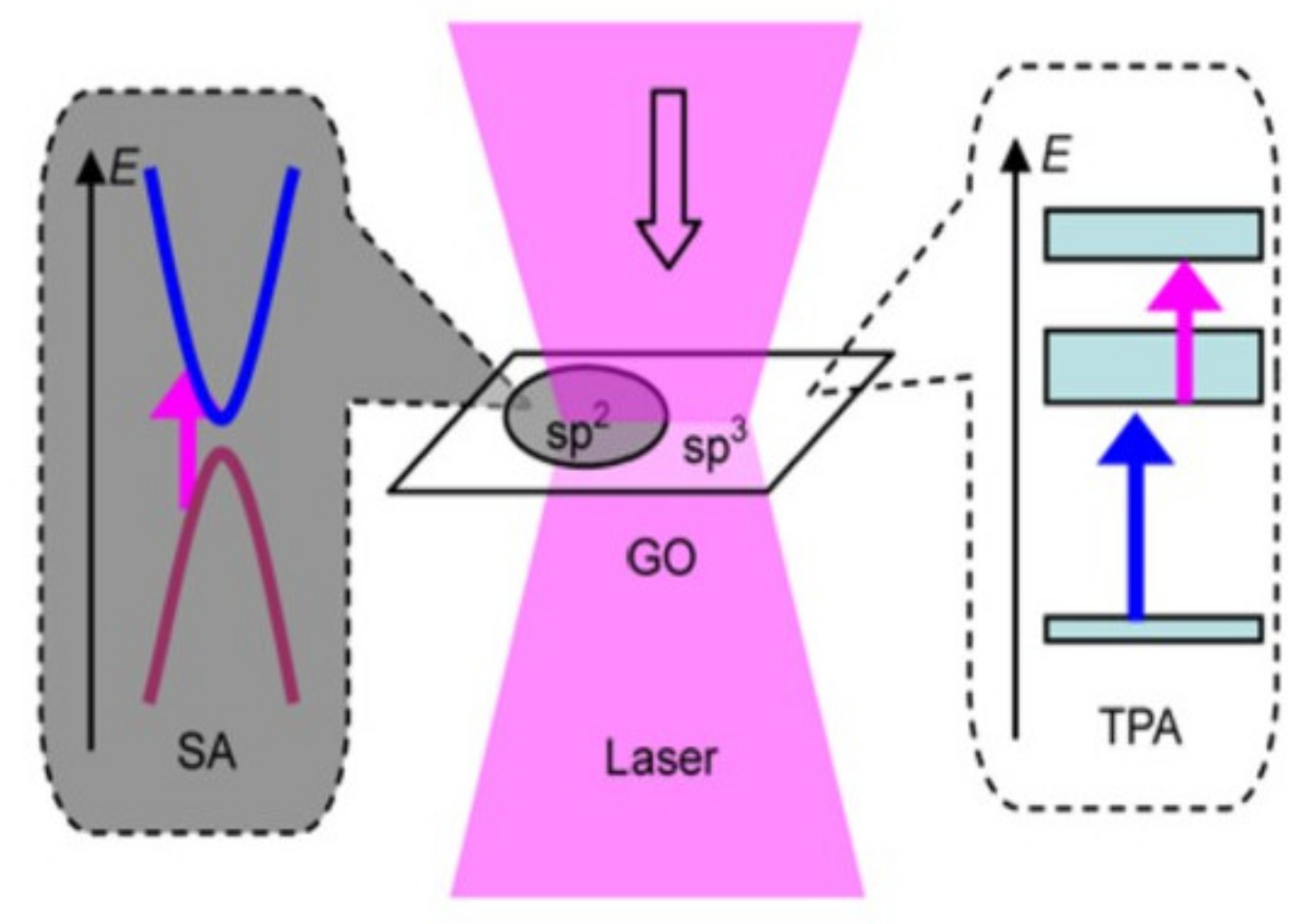 Molecules 27 02018 g006