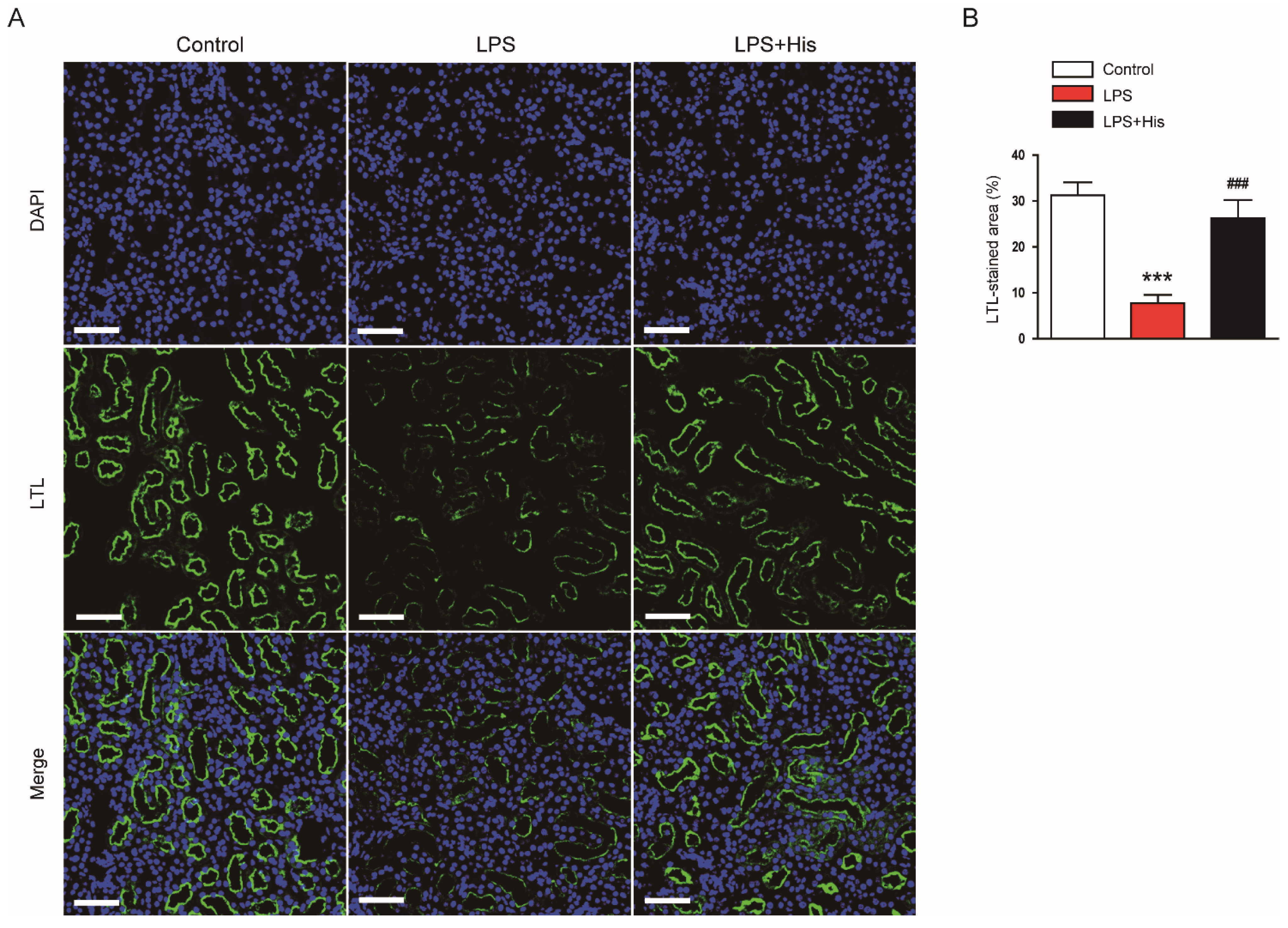 Molecules 27 02019 g003