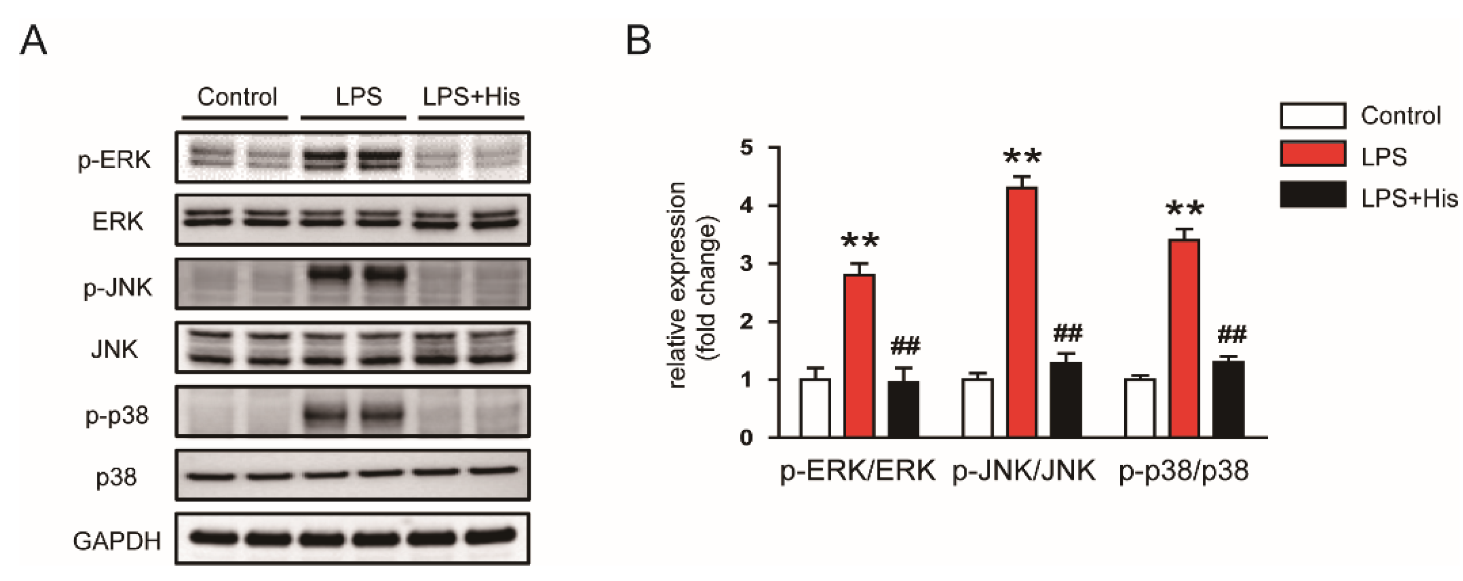 Molecules 27 02019 g006