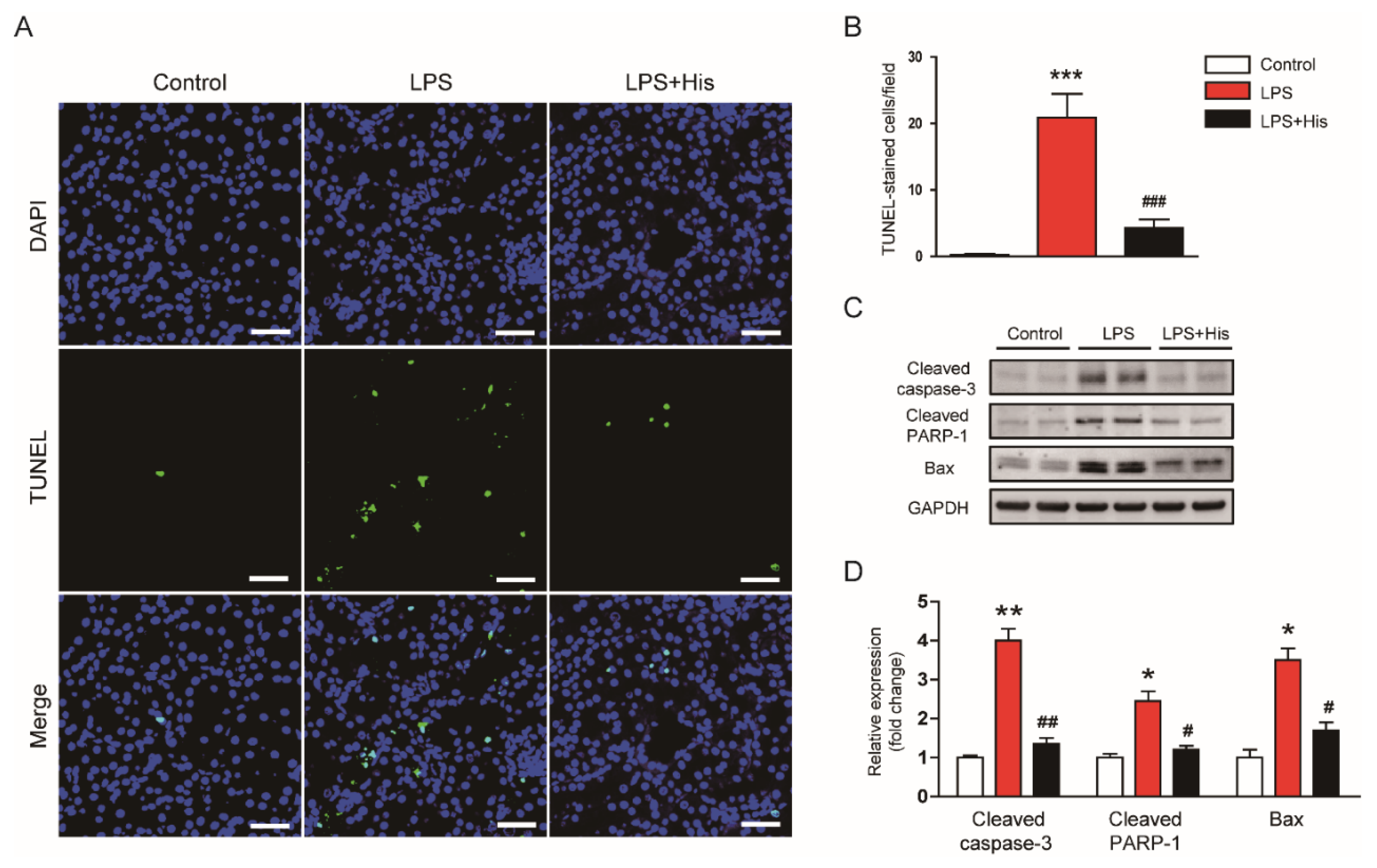 Molecules 27 02019 g011