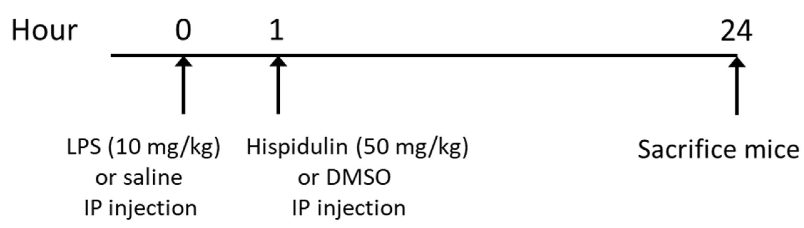 Molecules 27 02019 g013