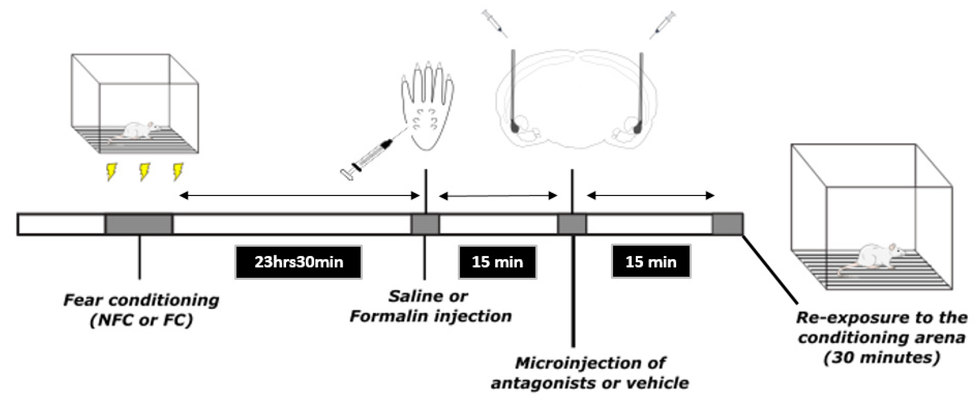 Molecules 27 02021 g019 Molecules 27 02021 g019