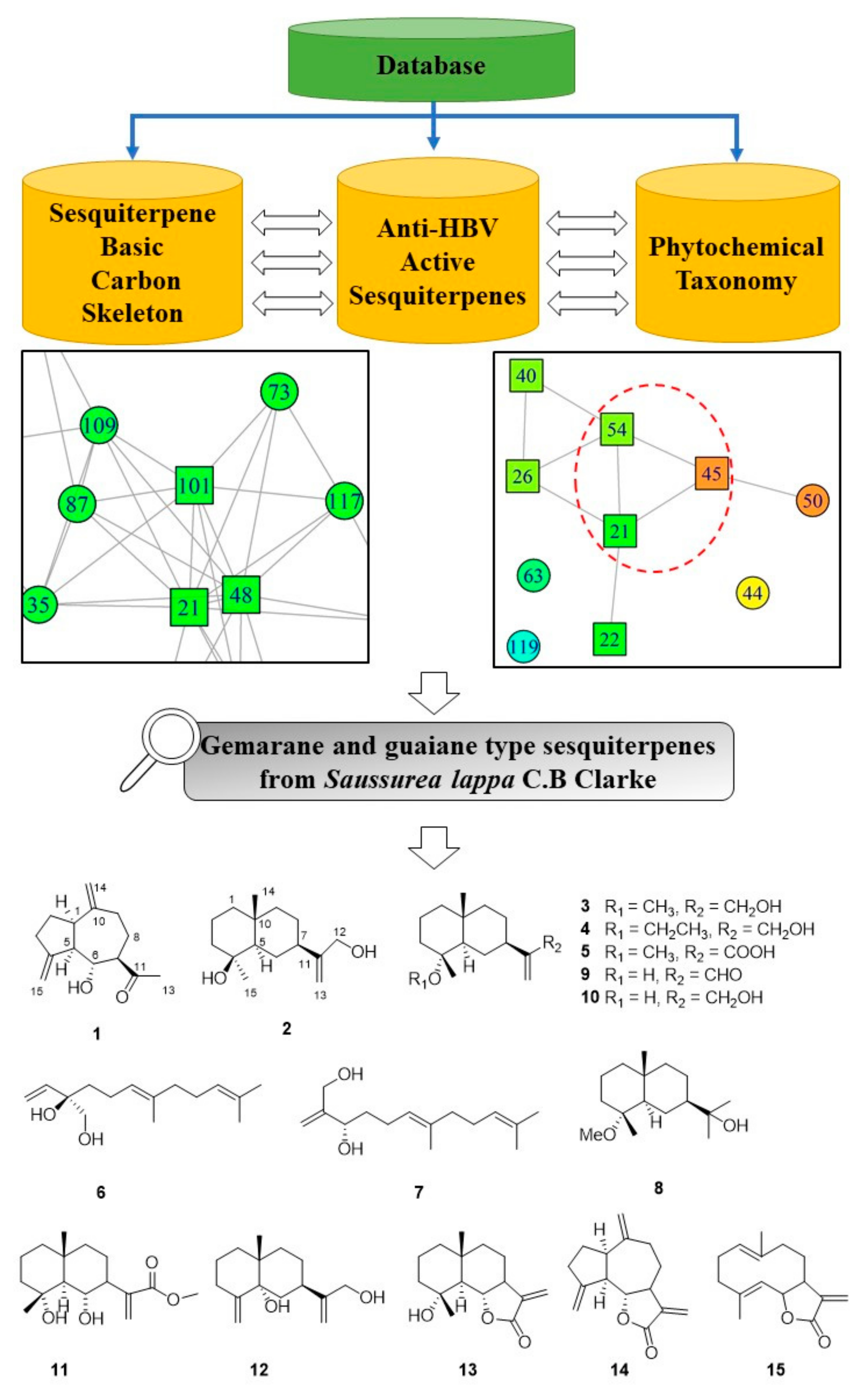 Molecules 27 02023 g002
