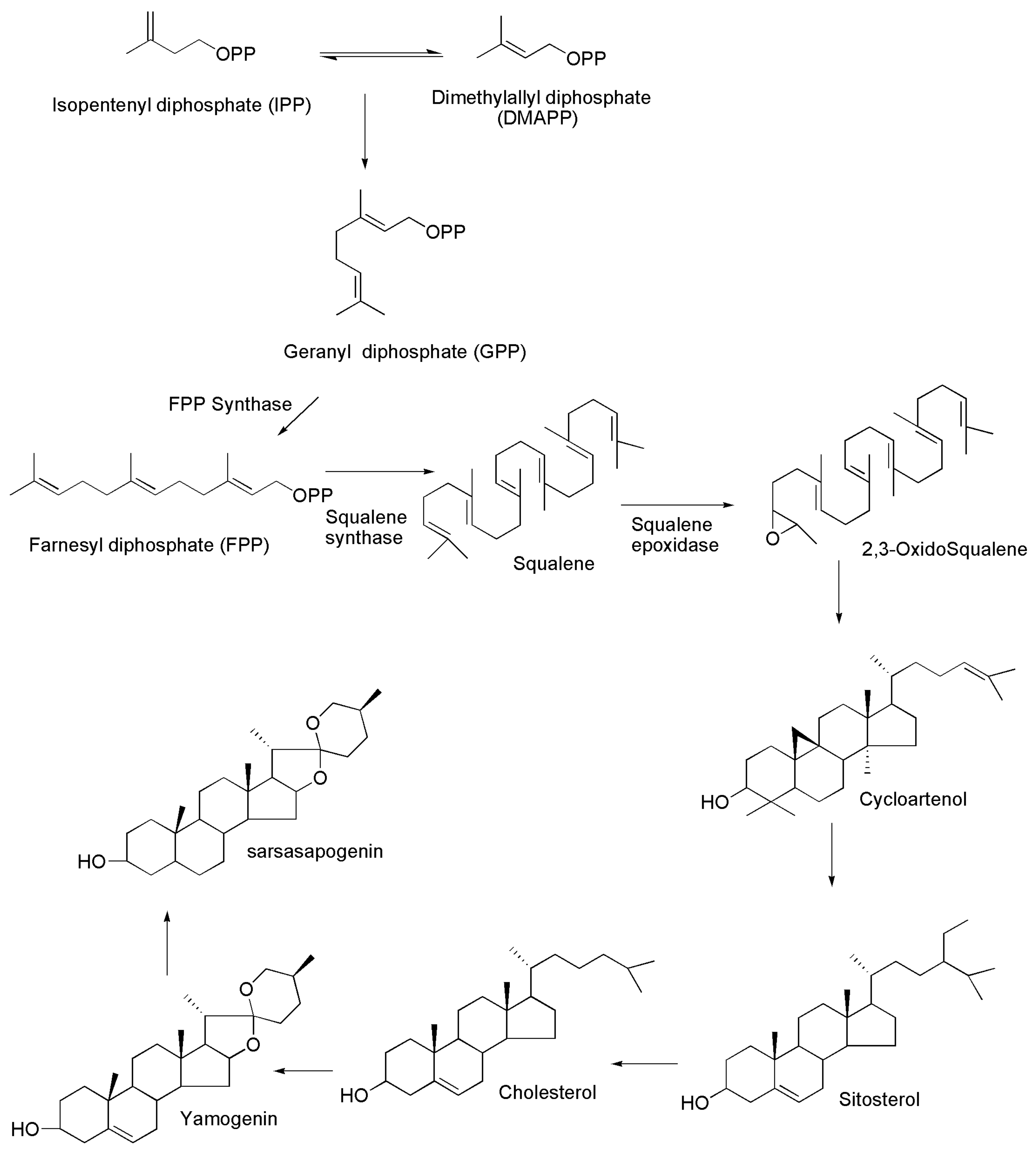 Molecules 27 02032 g002