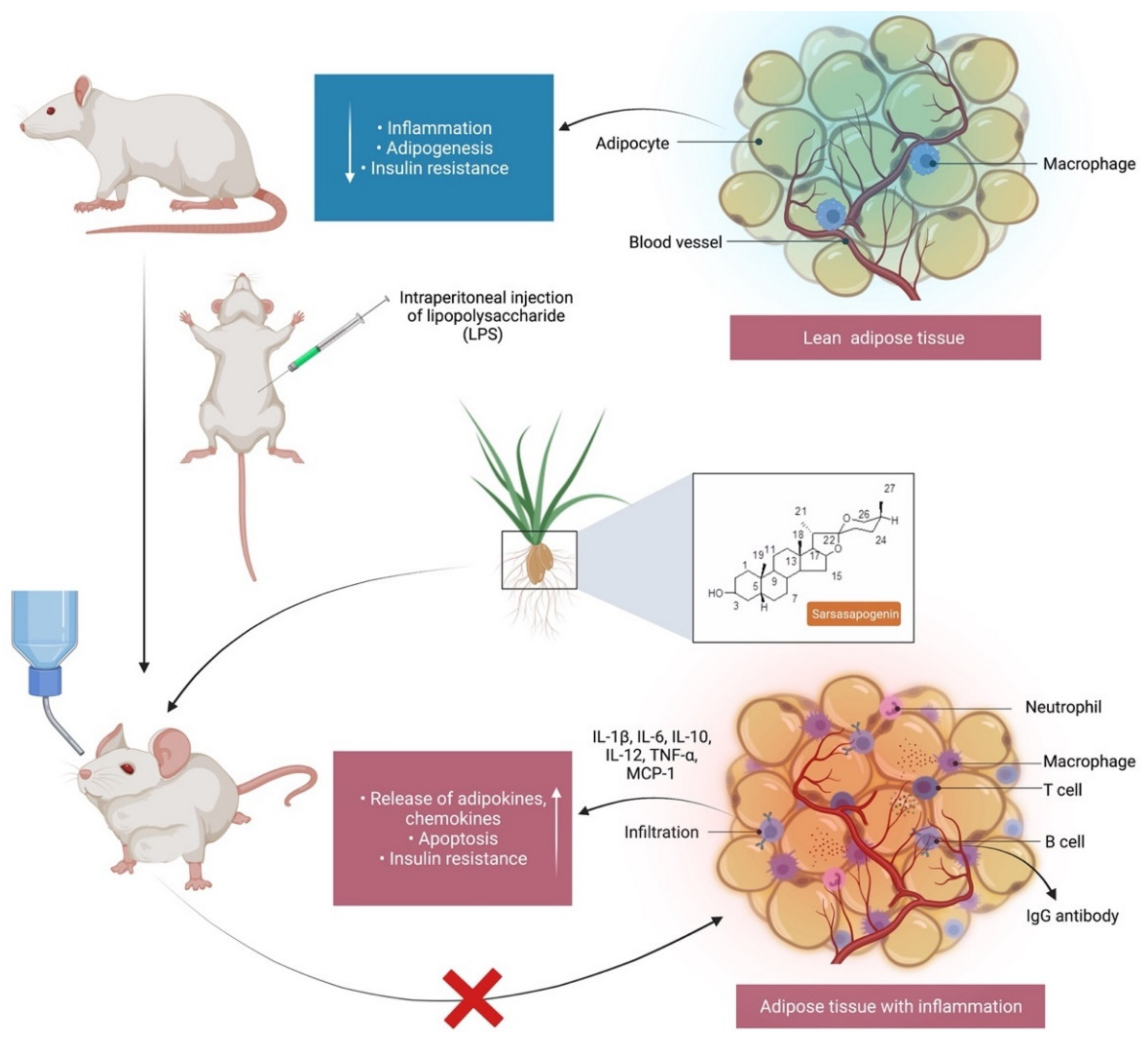 Molecules 27 02032 g003