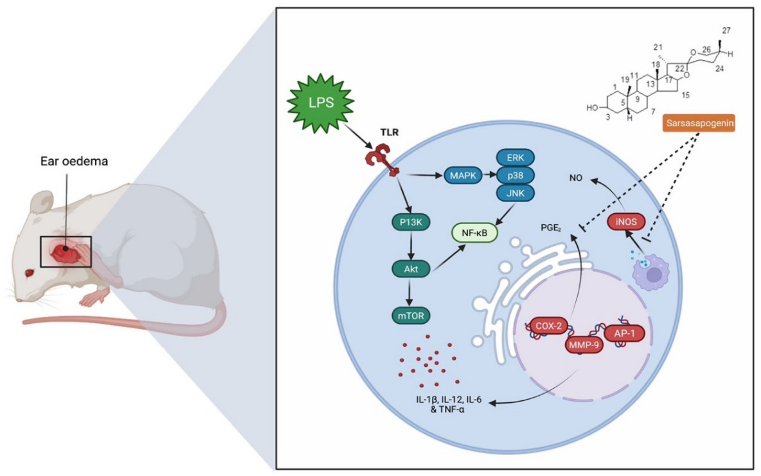Molecules 27 02032 g004