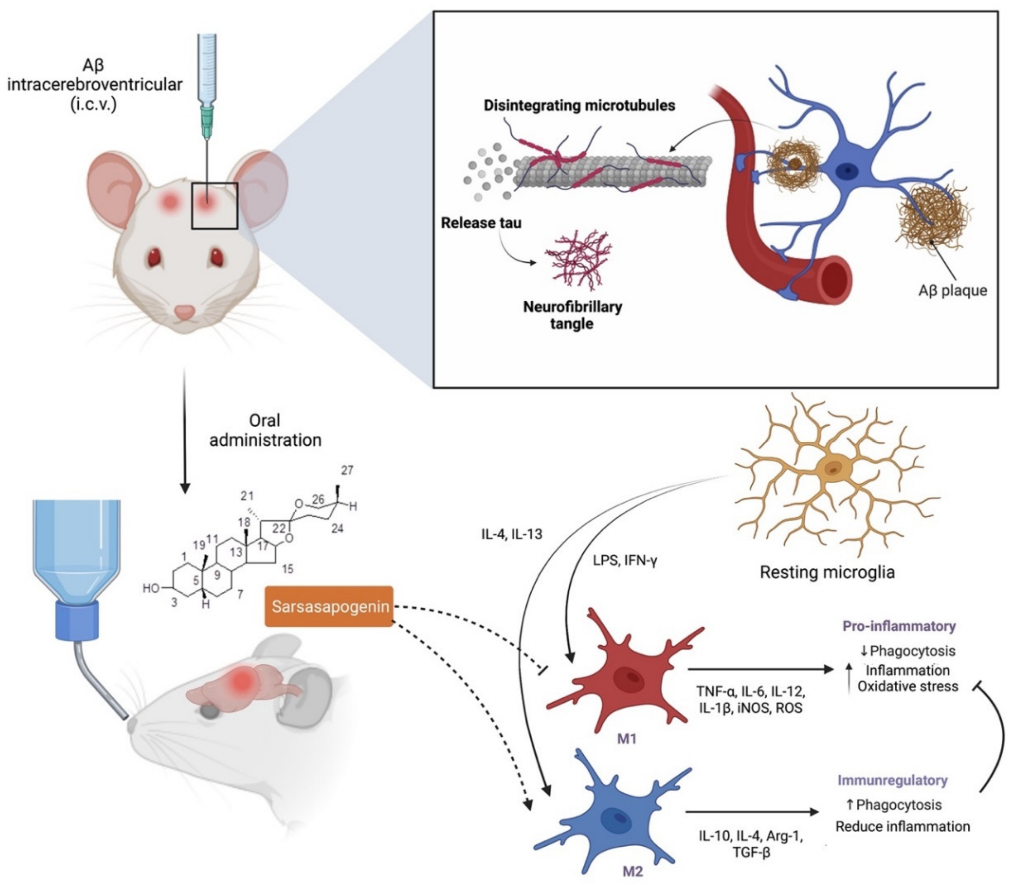 Molecules 27 02032 g005