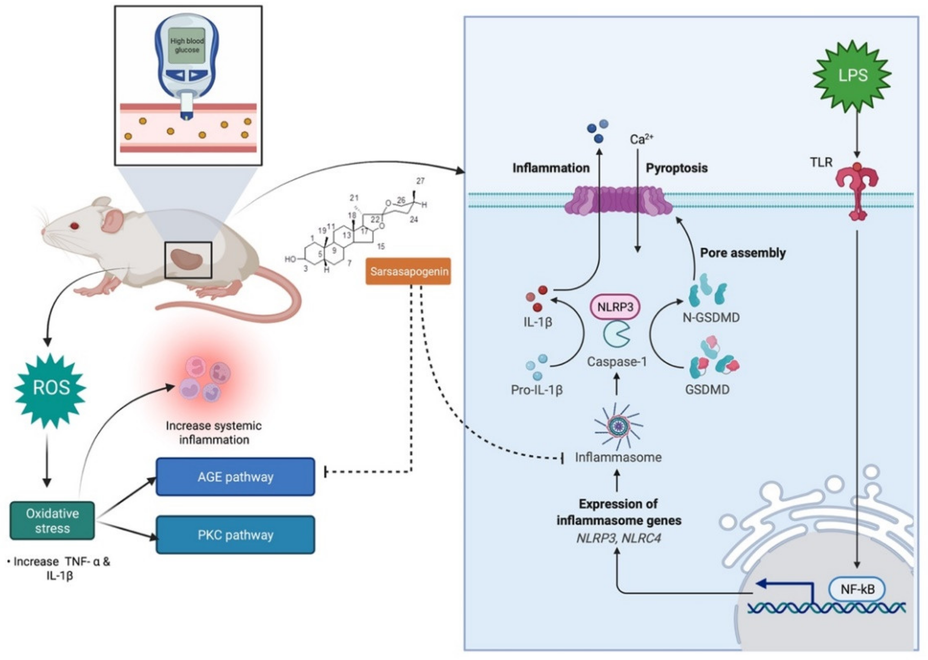 Molecules 27 02032 g006