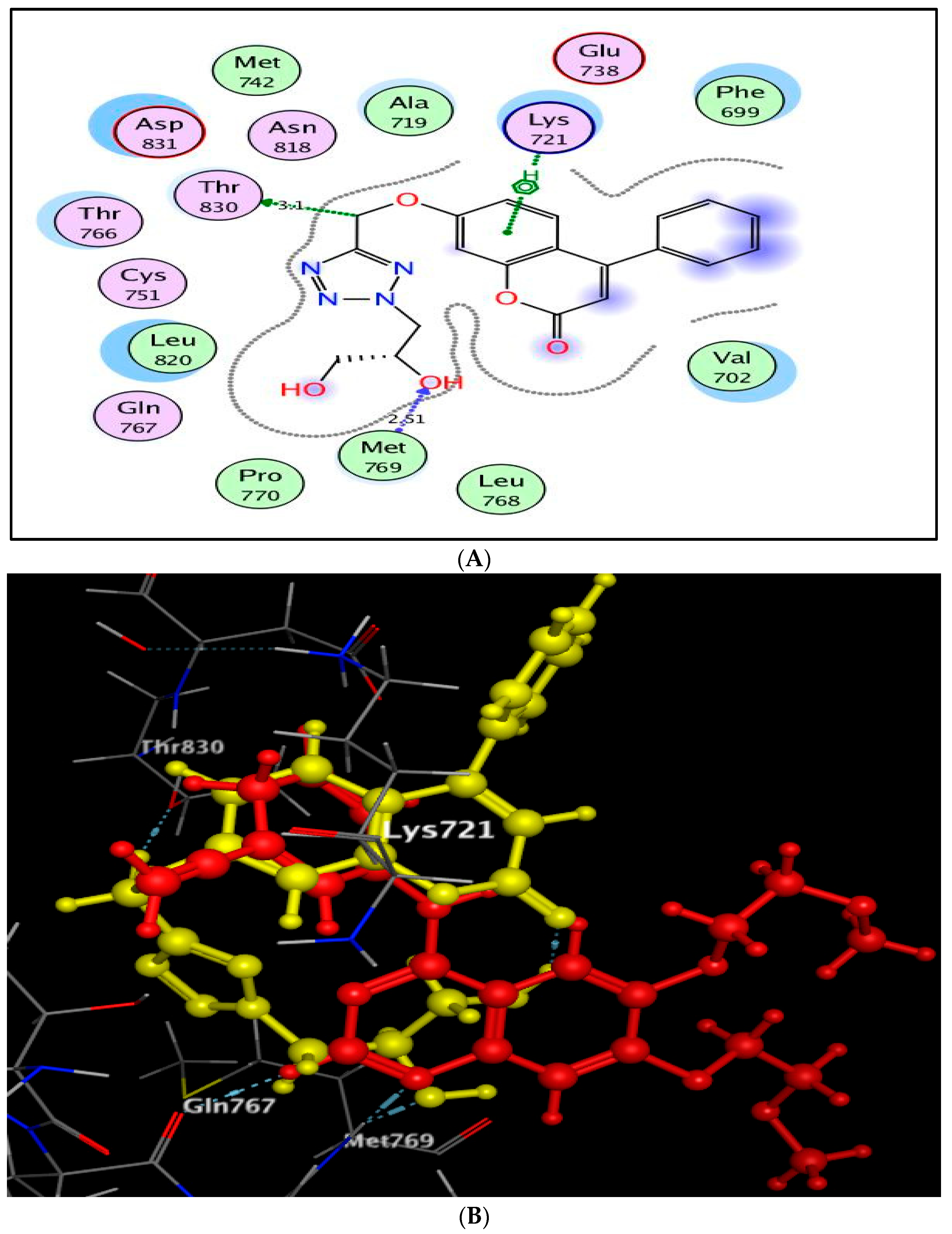 Molecules 27 02047 g008 550