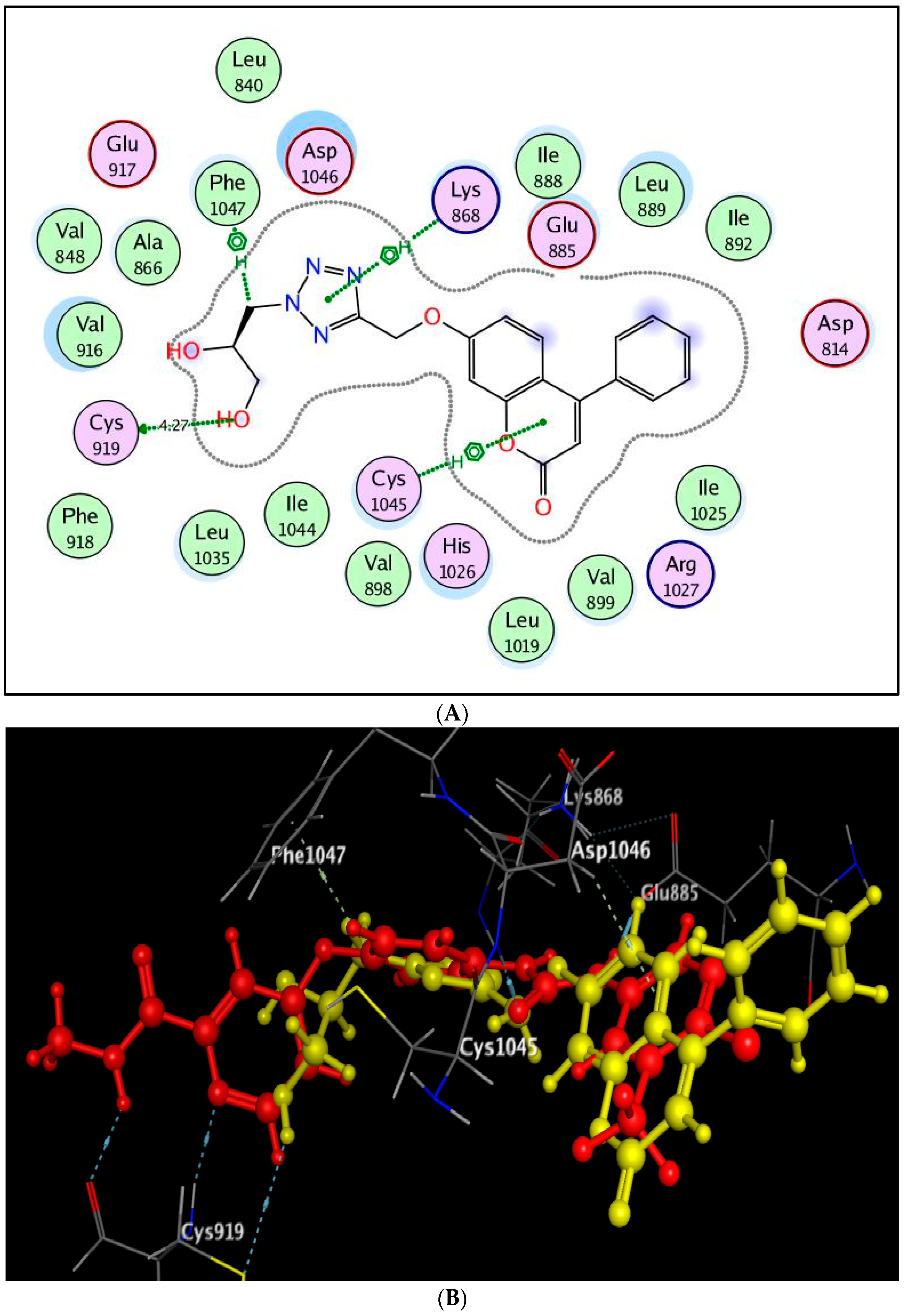Molecules 27 02047 g009 550