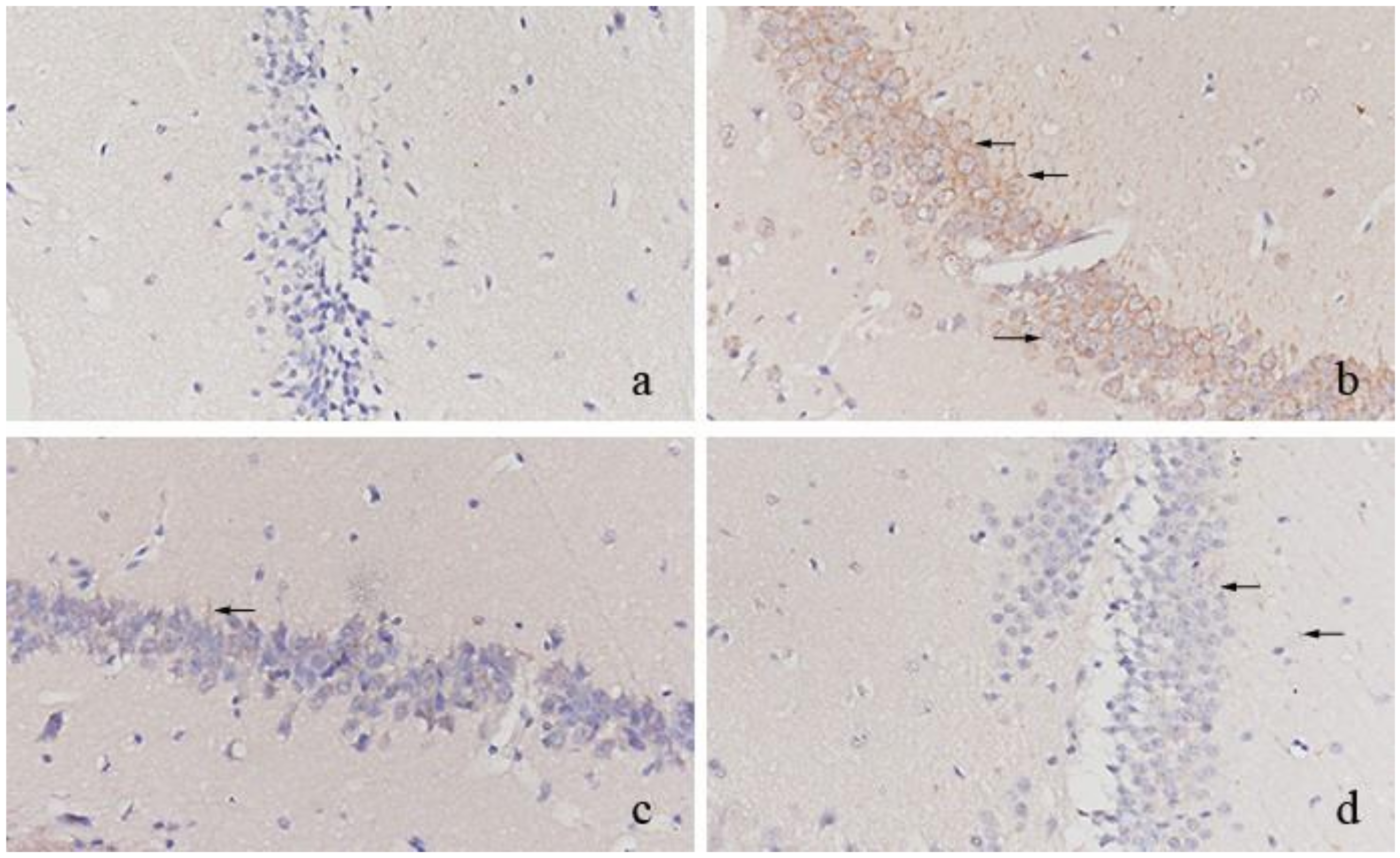 Molecules 27 02051 g002 Molecules 27 02051 g002