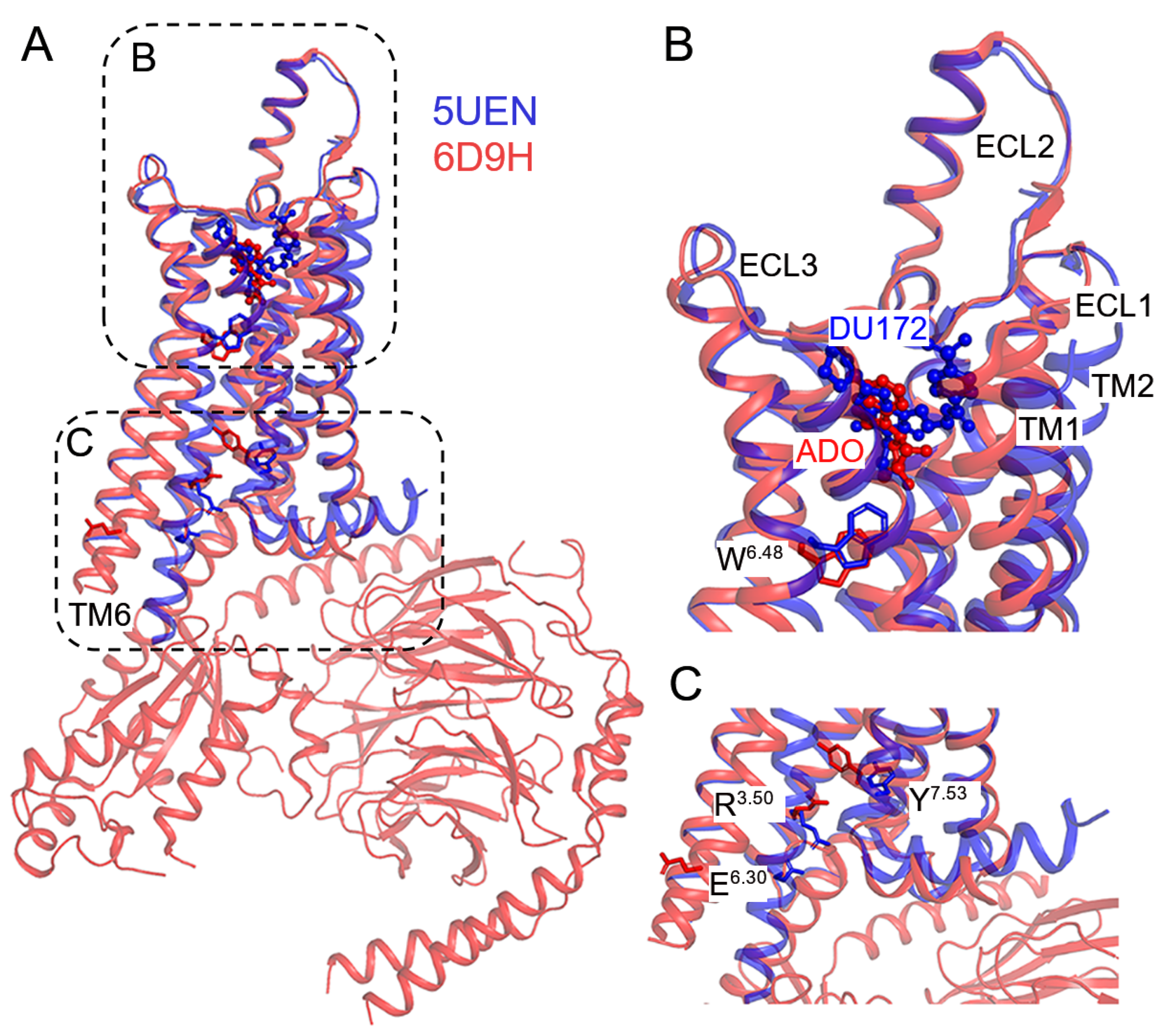 Molecules 27 02054 g001 Molecules 27 02054 g001