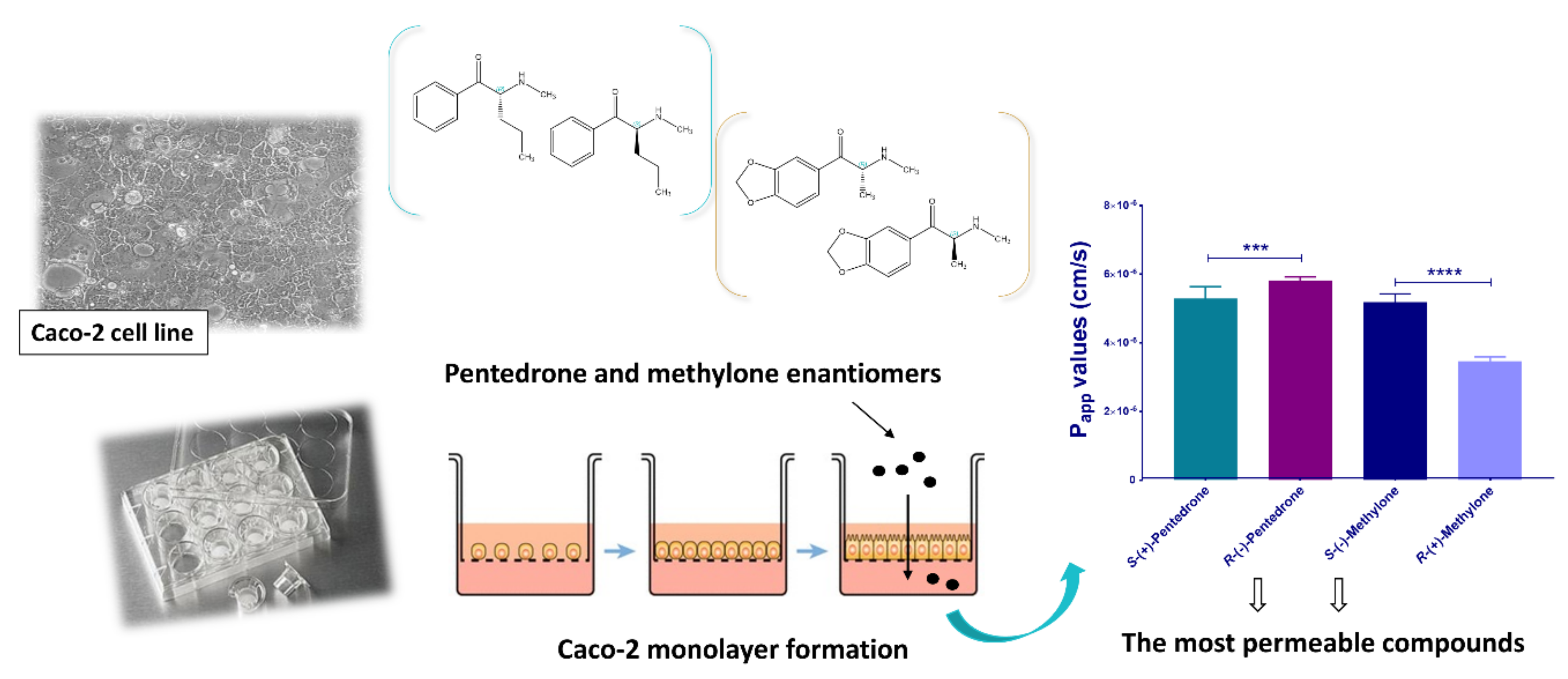 Molecules 27 02057 g015 550