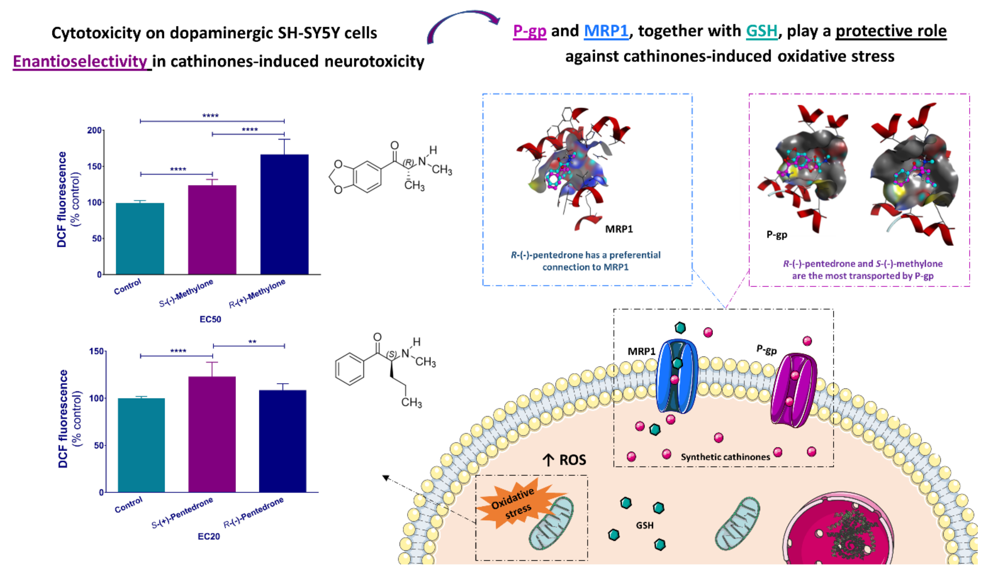Molecules 27 02057 g016 550