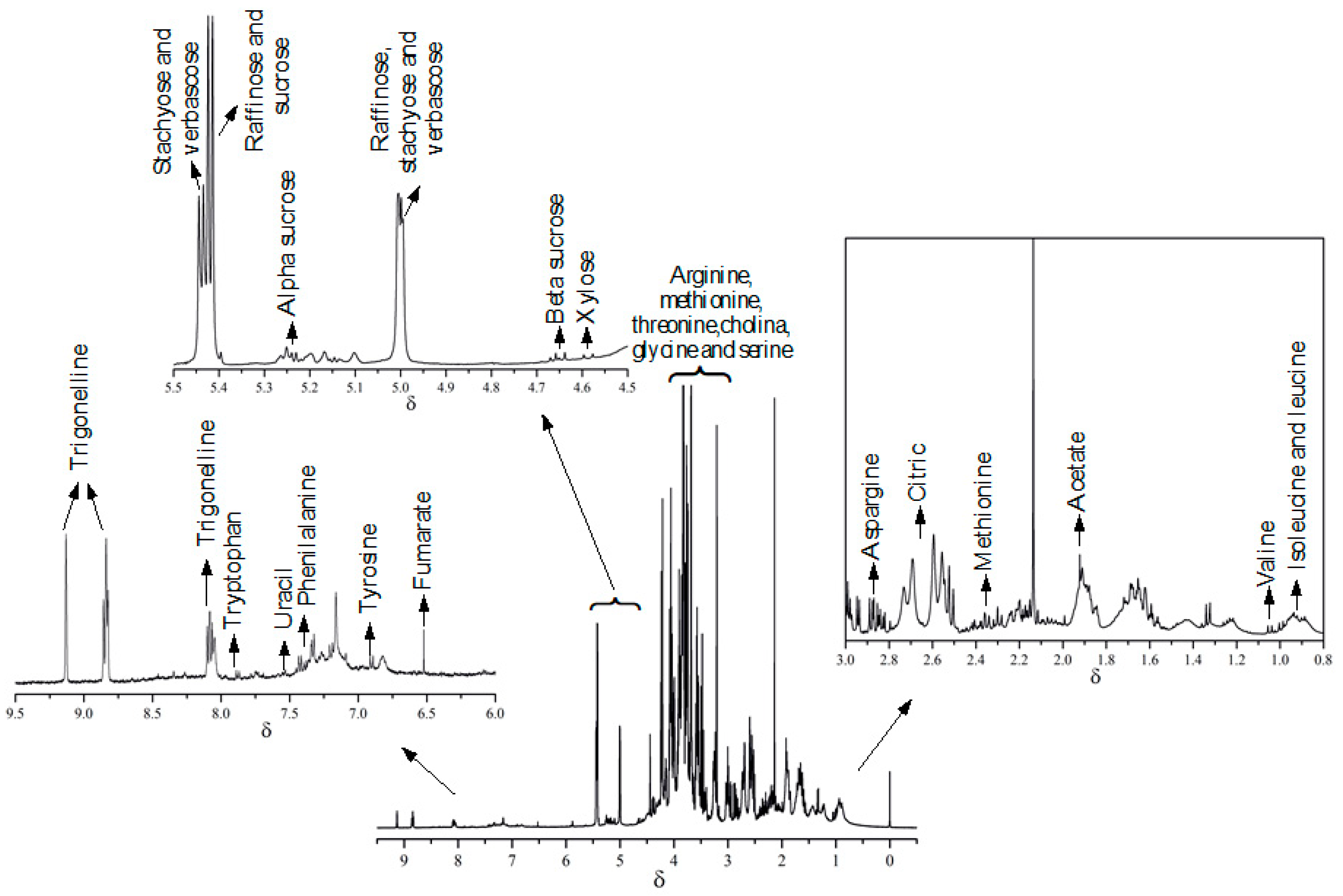 Molecules 27 02060 g002