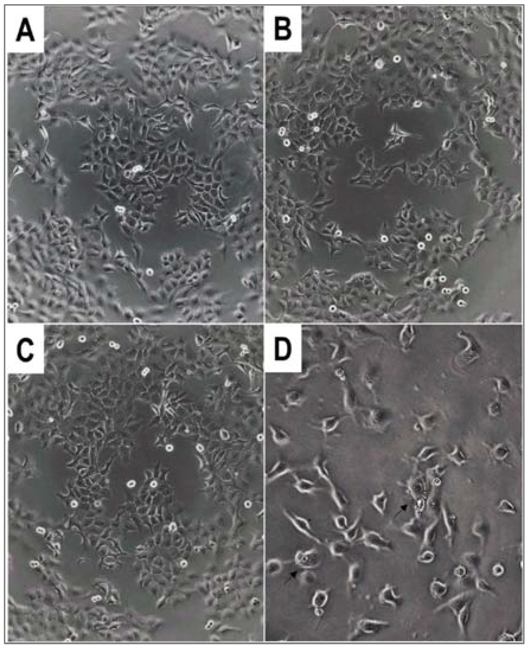 Molecules 27 02067 g002 550