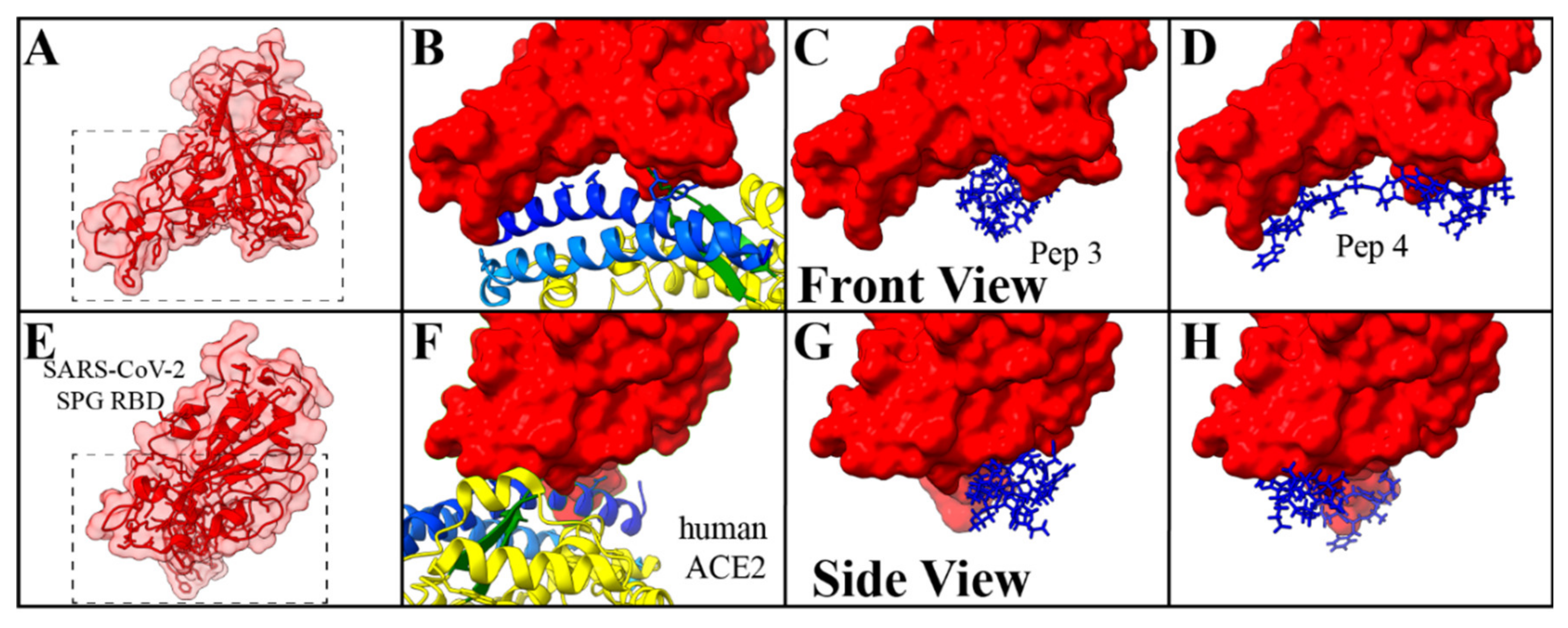 Molecules 27 02070 g005